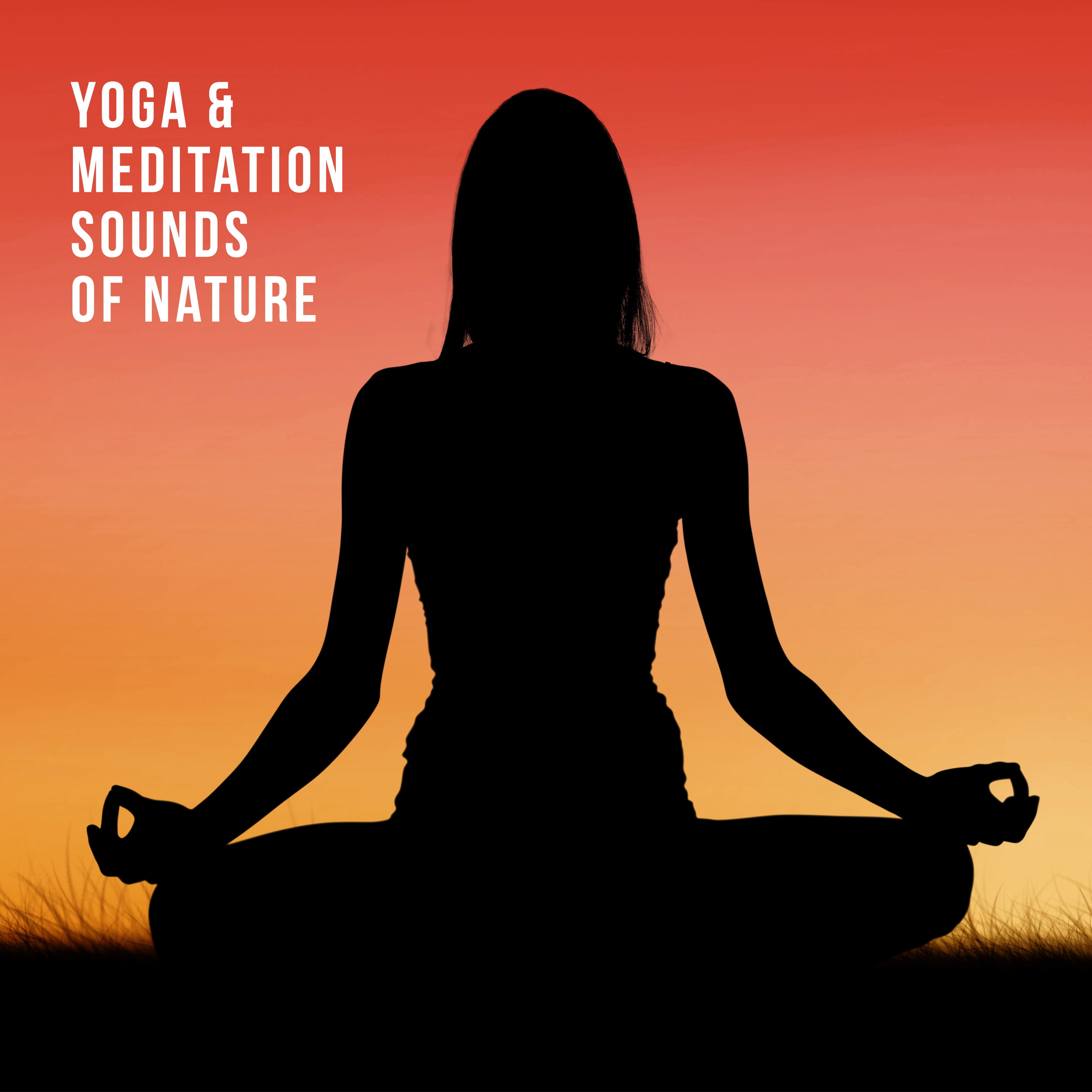 Yoga & Meditation Sounds of Nature