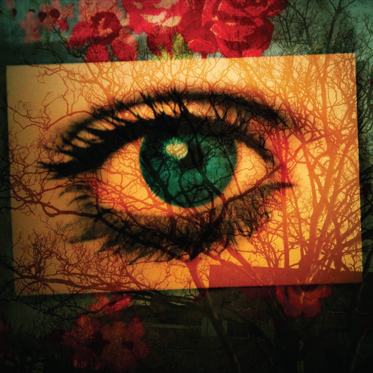 Back in the Old City