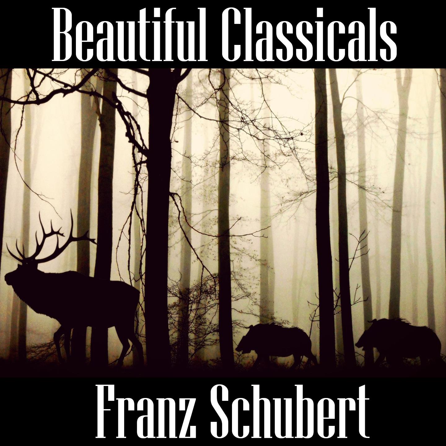 Beautiful Classicals: Franz Schubert