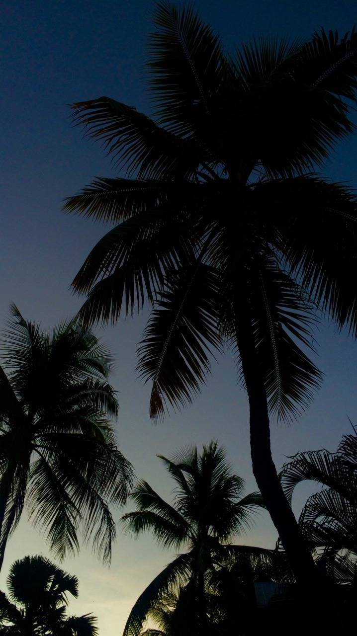 gei ni wo de shi jie