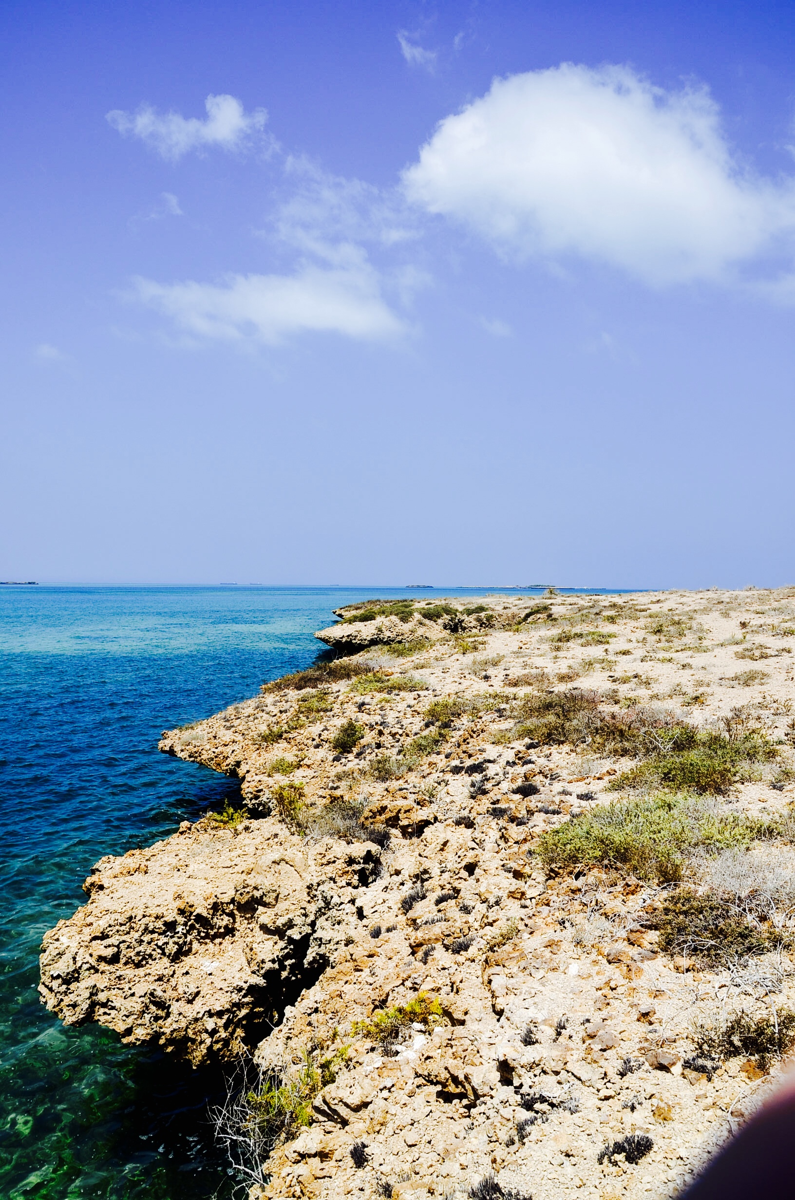 bei feng chui guo de xia tian