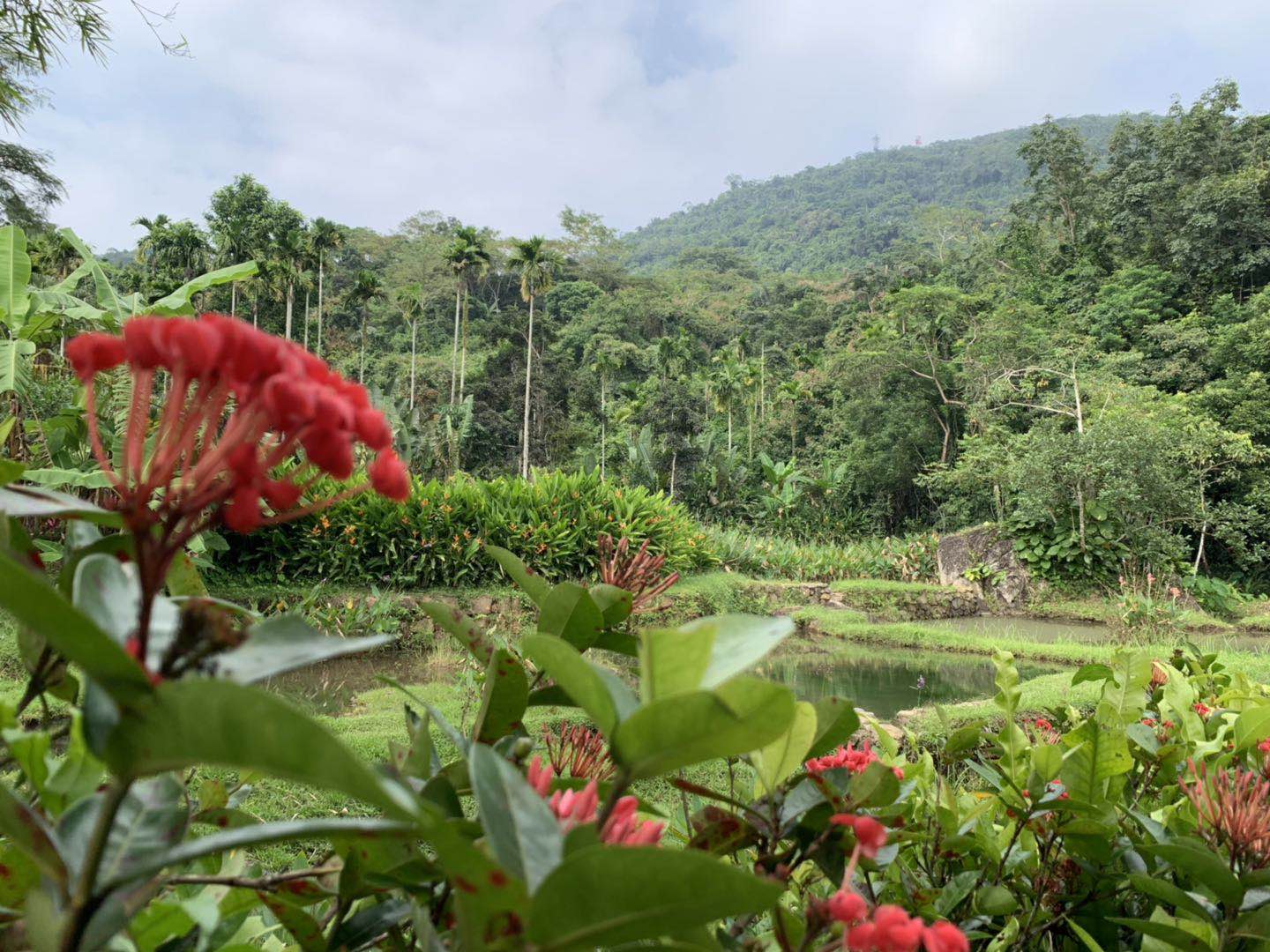 shou xin de qiang wei