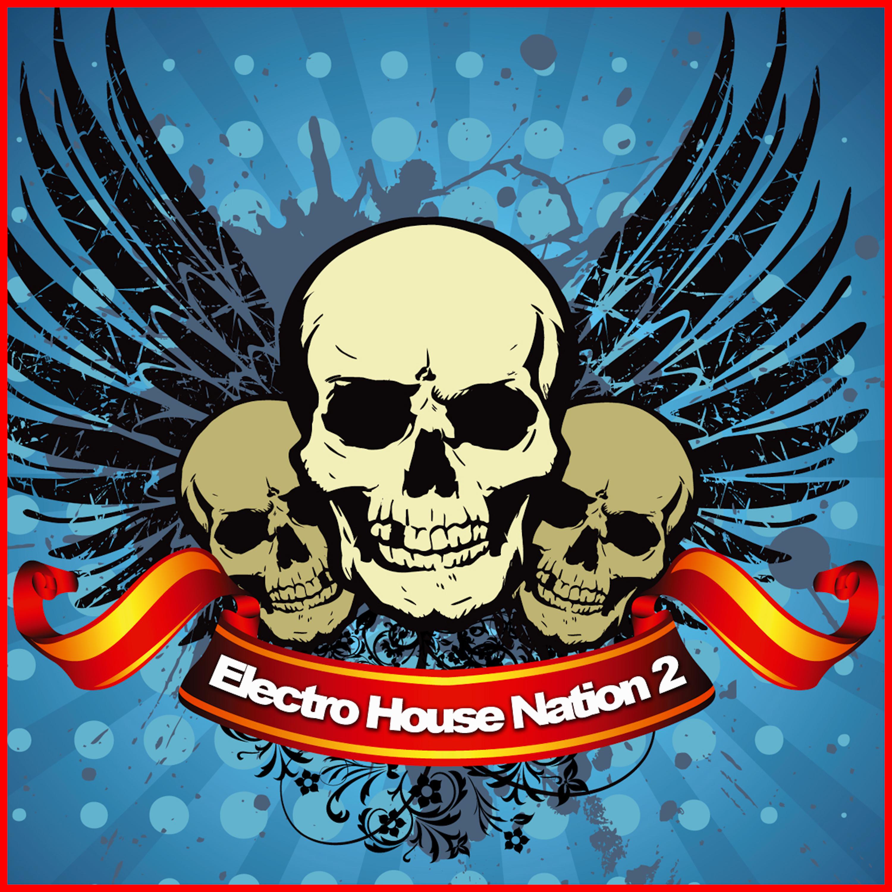 Electro House Nation Vol. 2