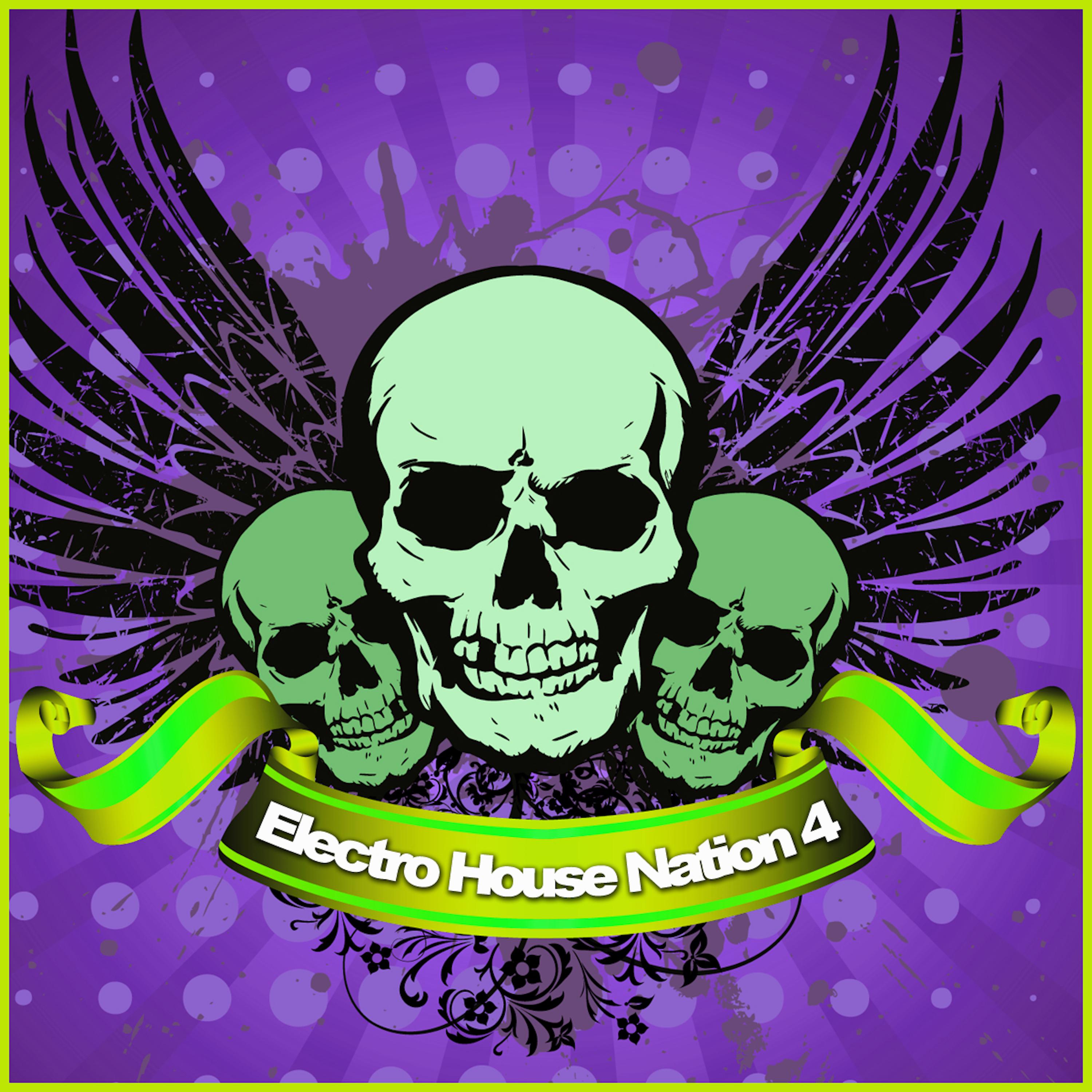 Electro House Nation 4