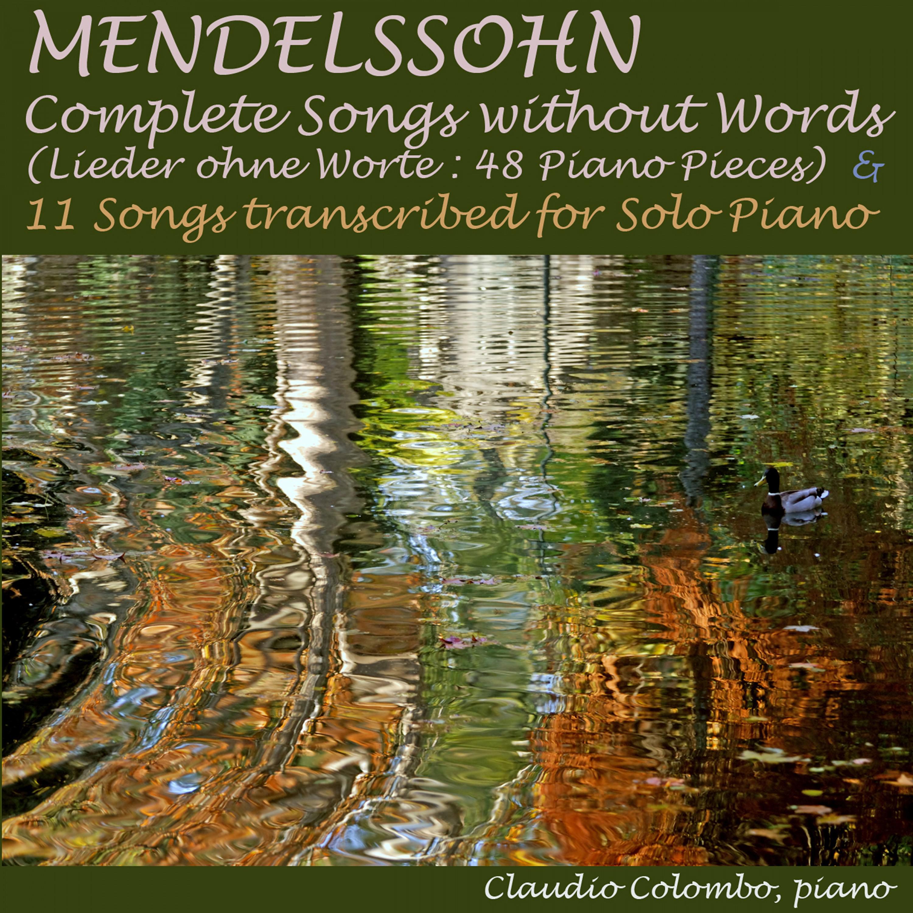 Song Without Words, Op. 85: IV. Andante sostenuto