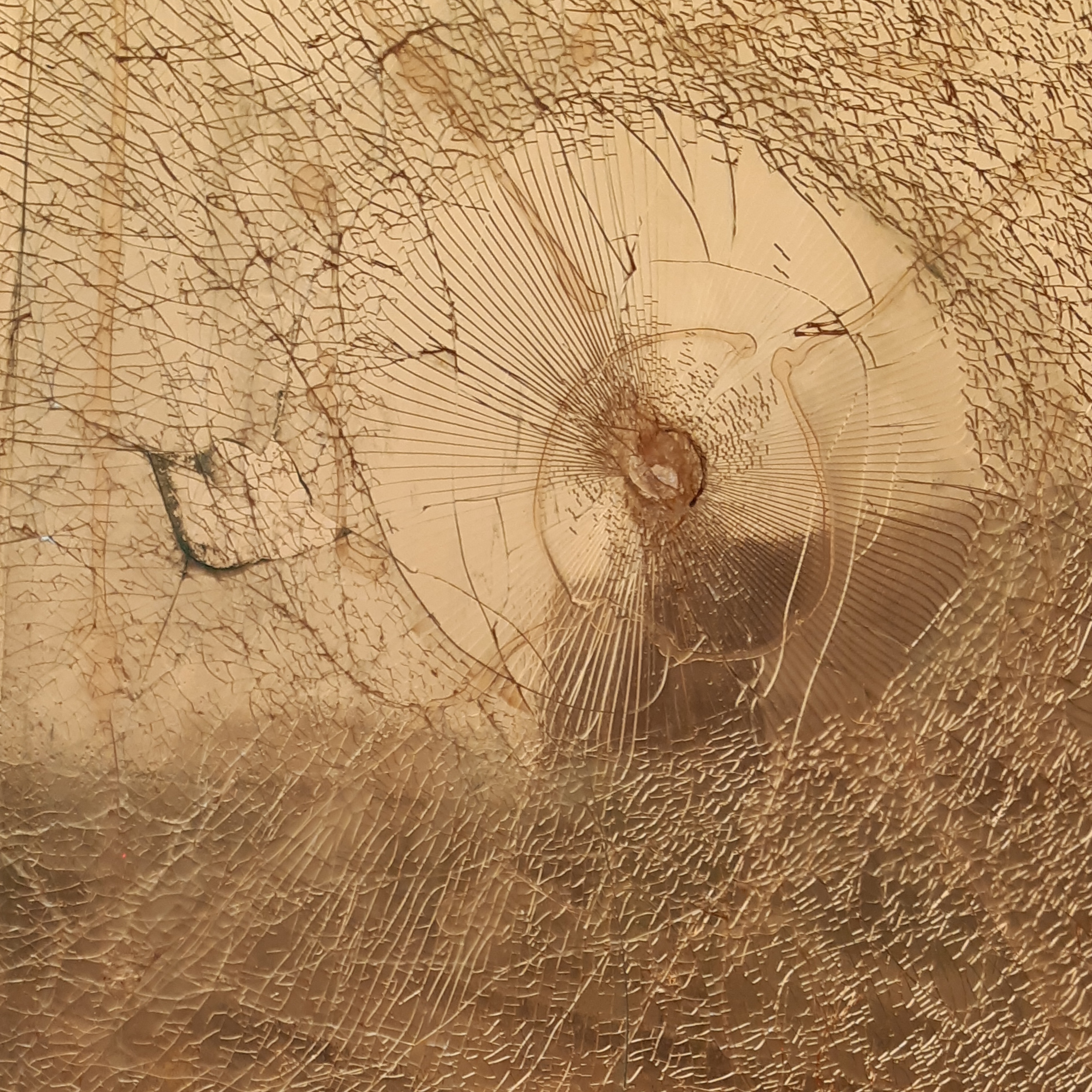 How Did I End Up Here?