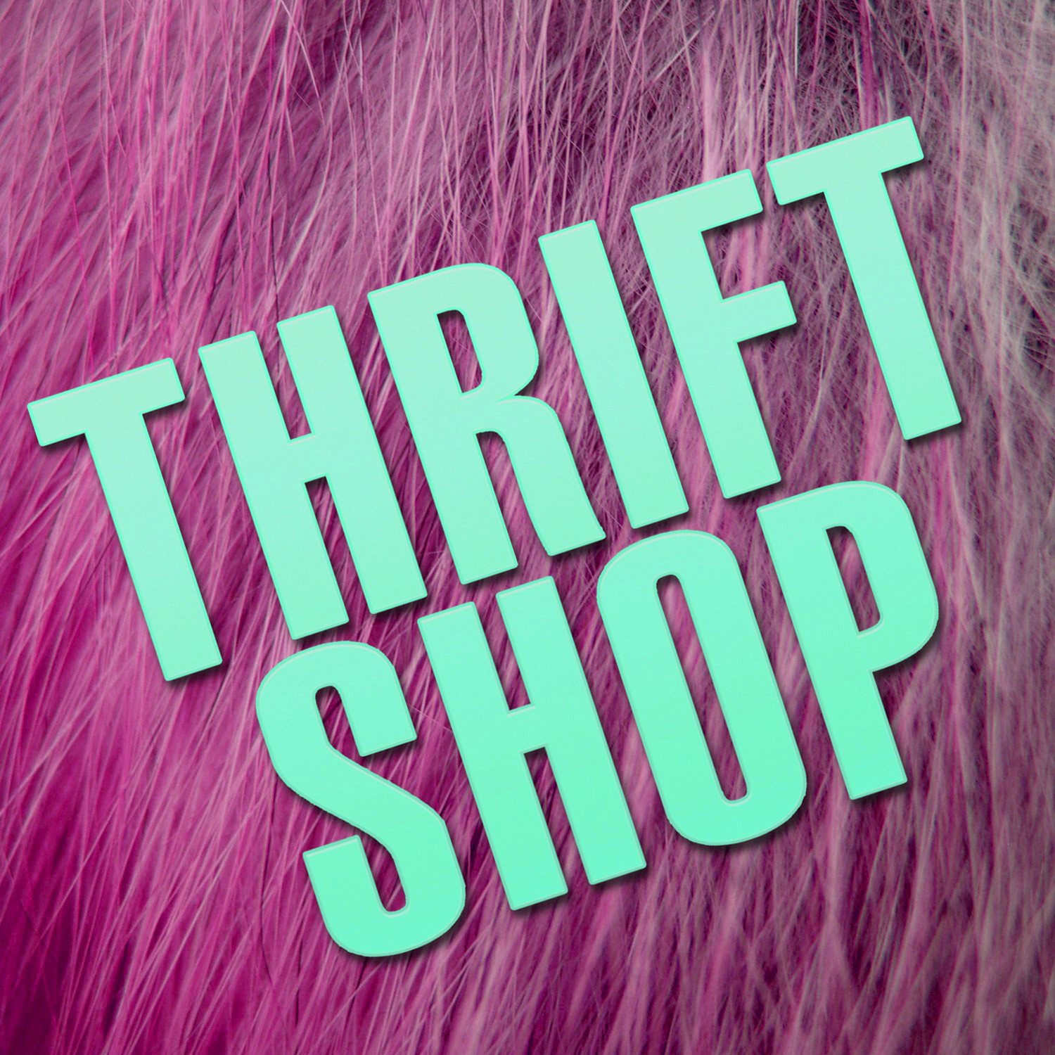 Thrift Shop