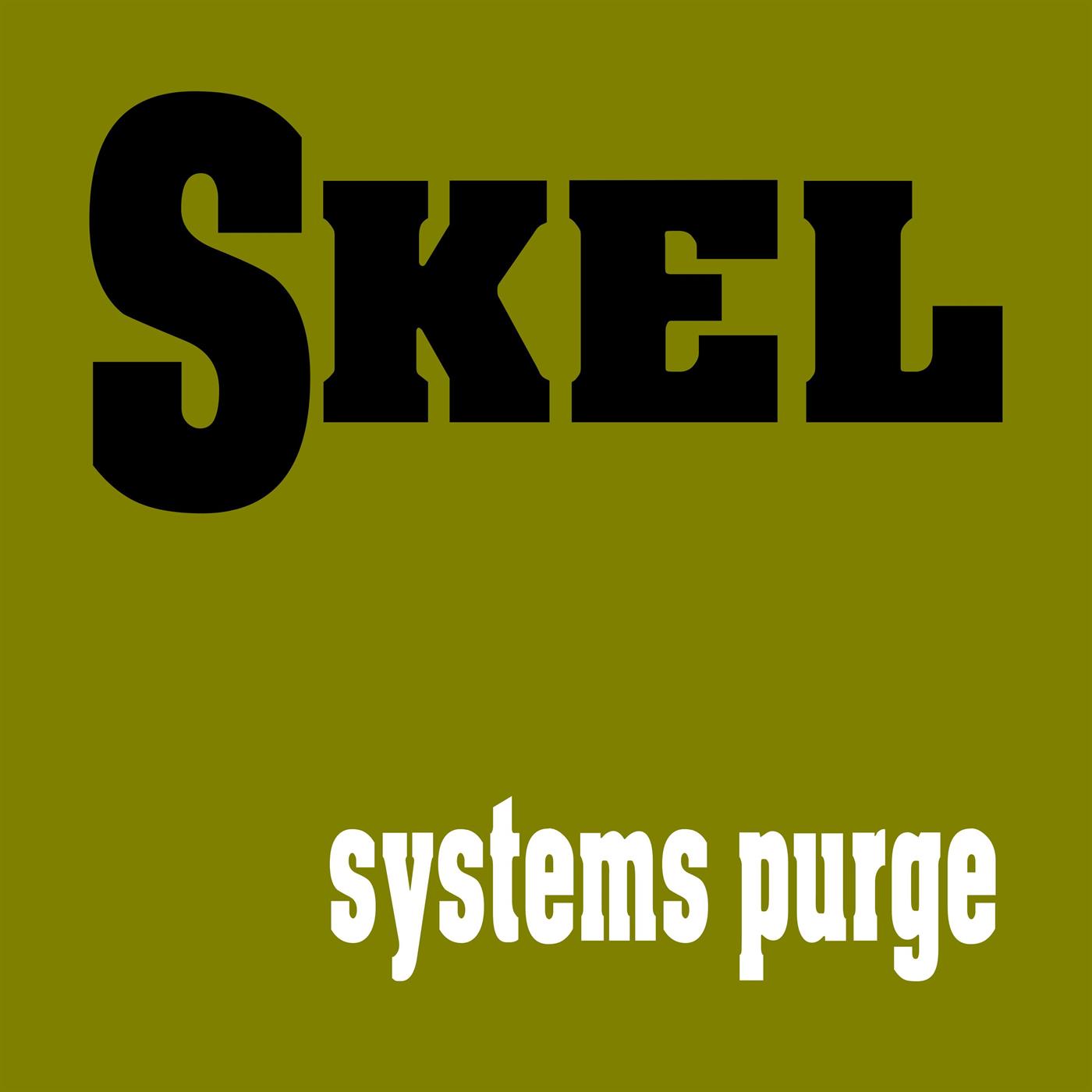 systems purge