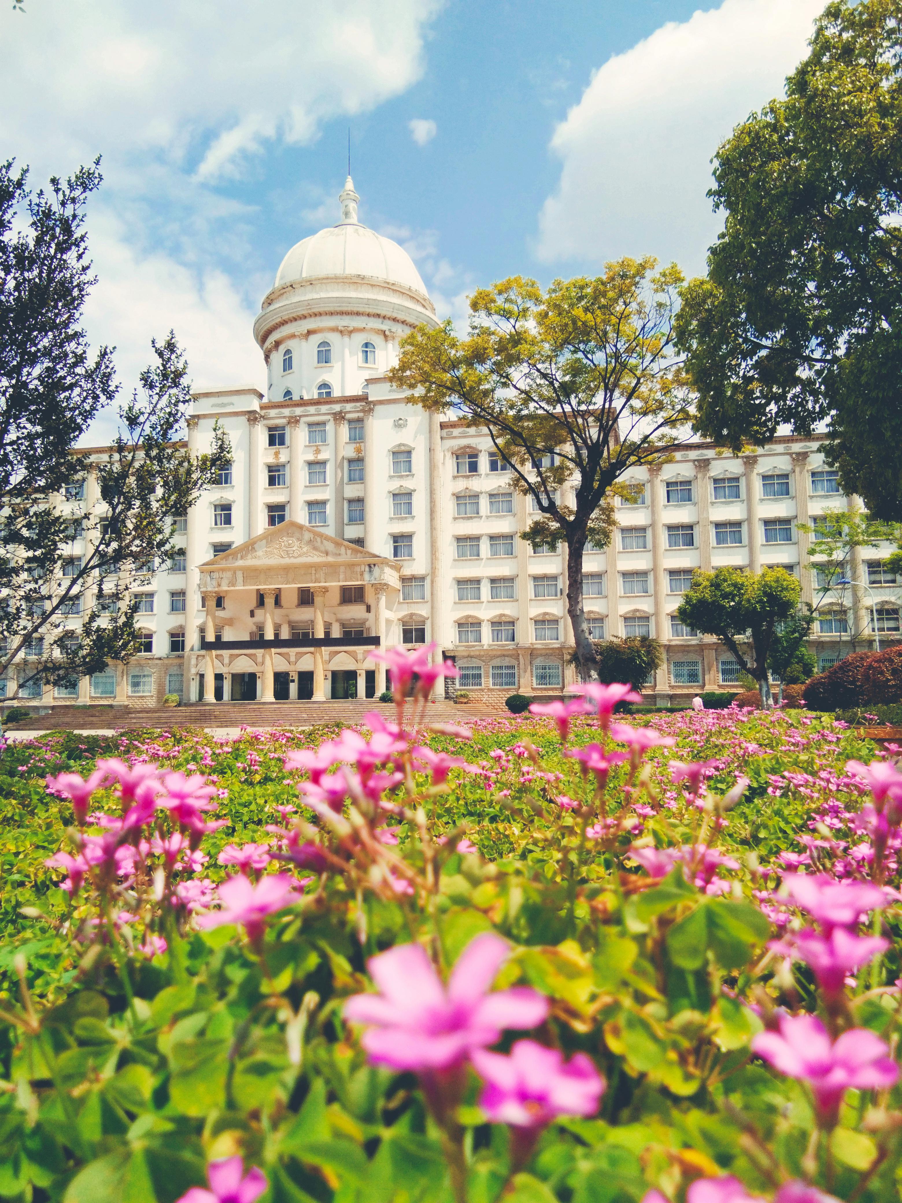 bi ye ge  liu yue de xing guang Live