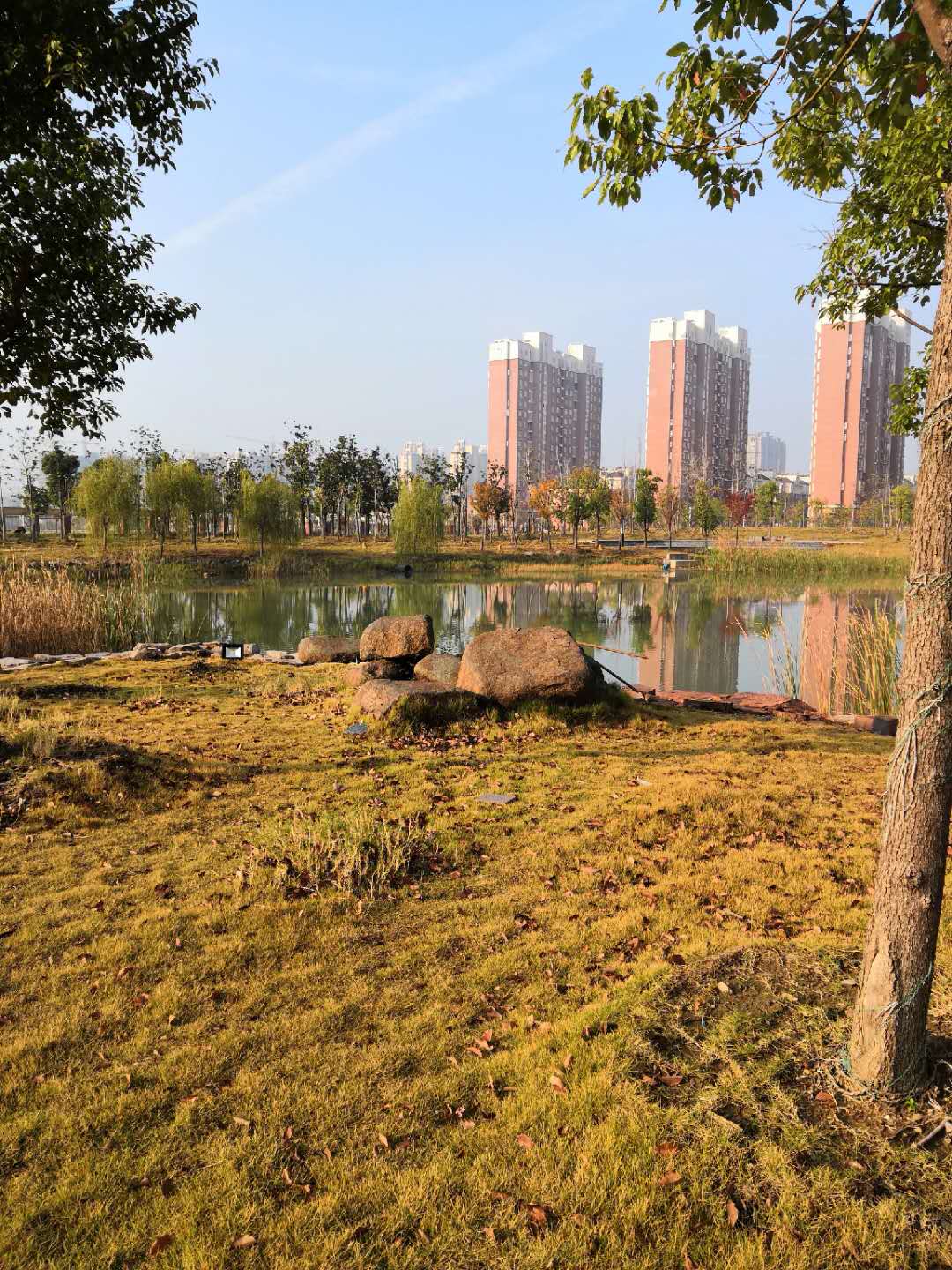 ding yuan er zhong xiao ge