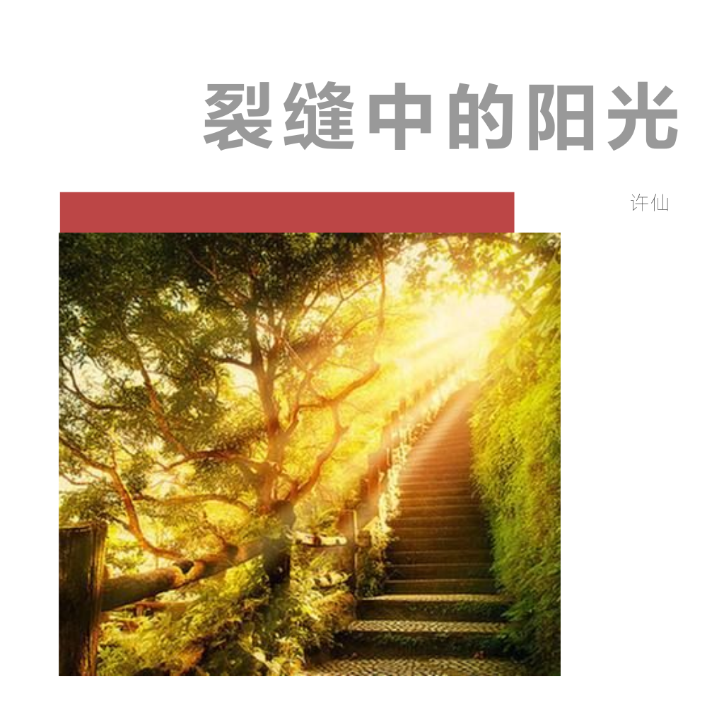 lie feng zhong de yang guang