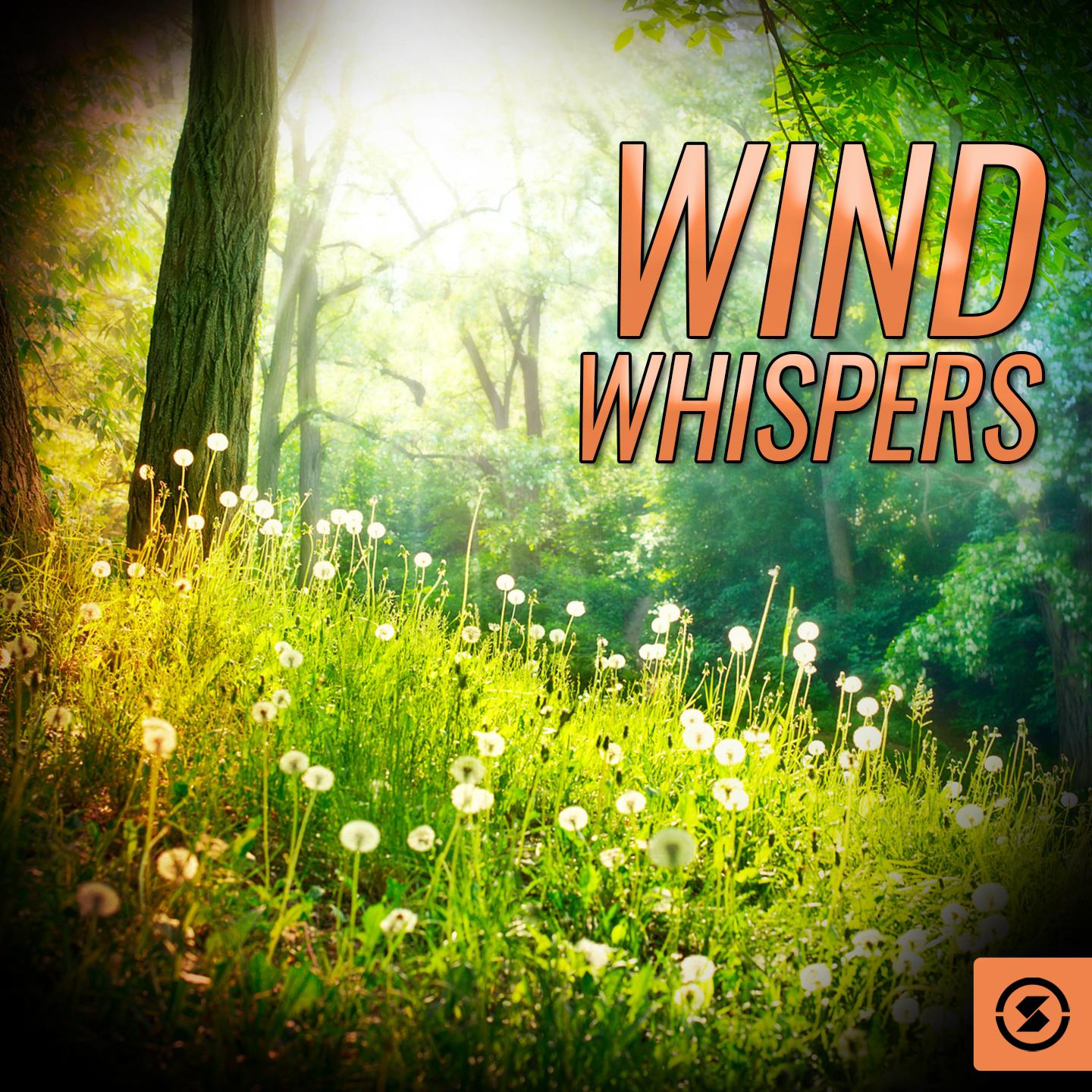 Wind Whispers