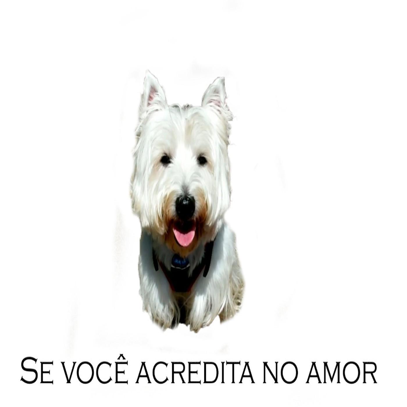 Se Voc Acredita no Amor