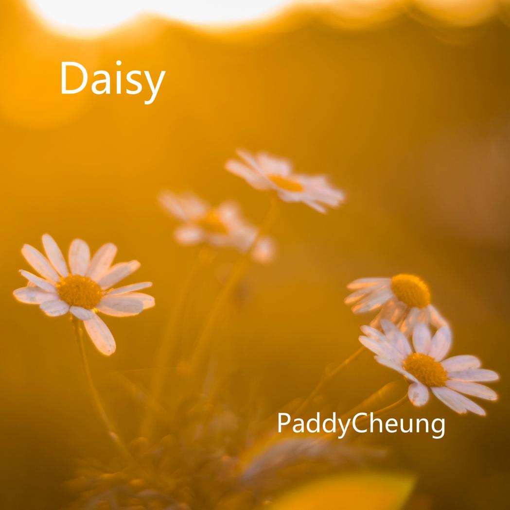 Daisy chu ju