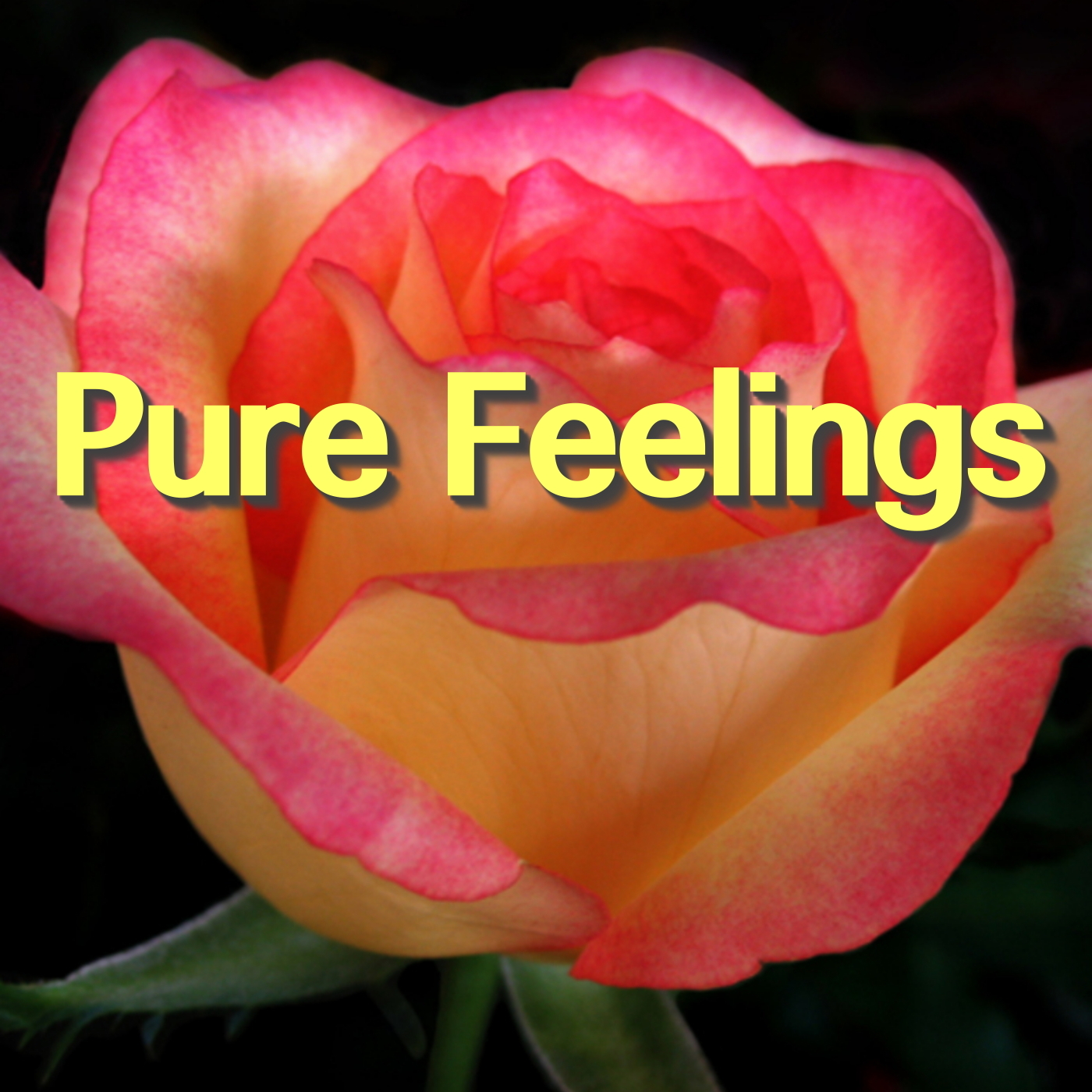 Eight Duets for Violin and Violoncello, Op 39: III