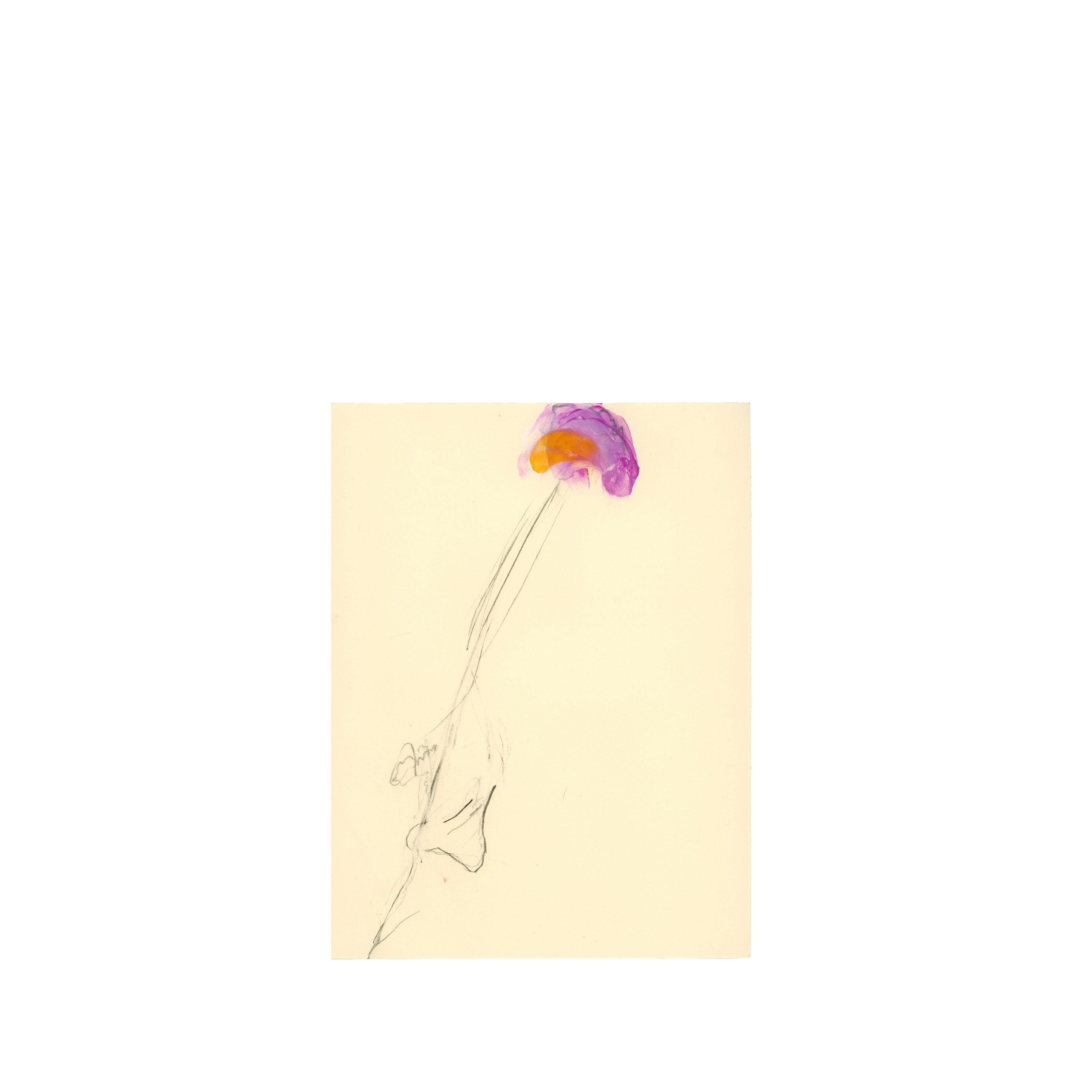 Unaccompanied Acoustic Guitar Improvisations Vol. 10