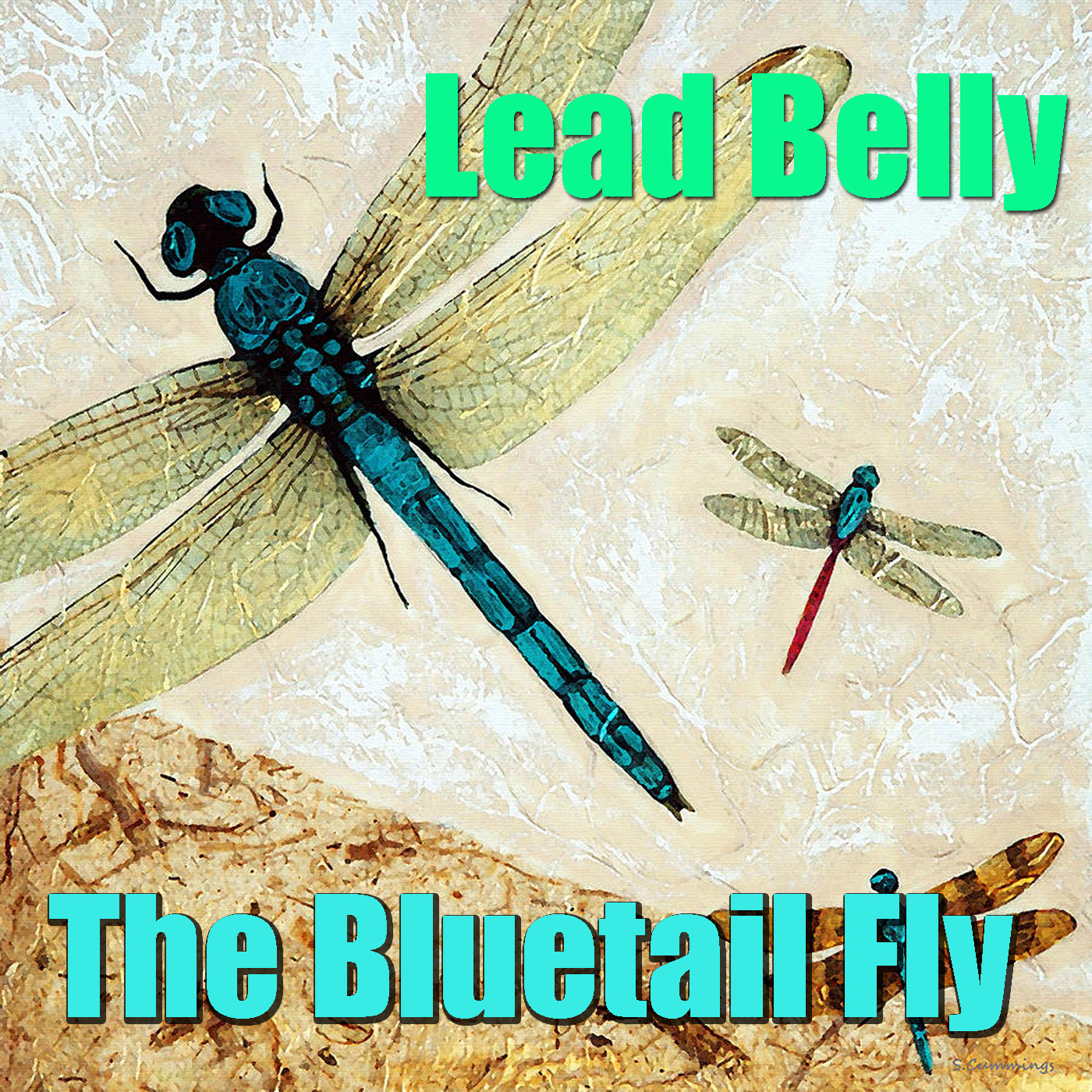 The Bluetail Fly