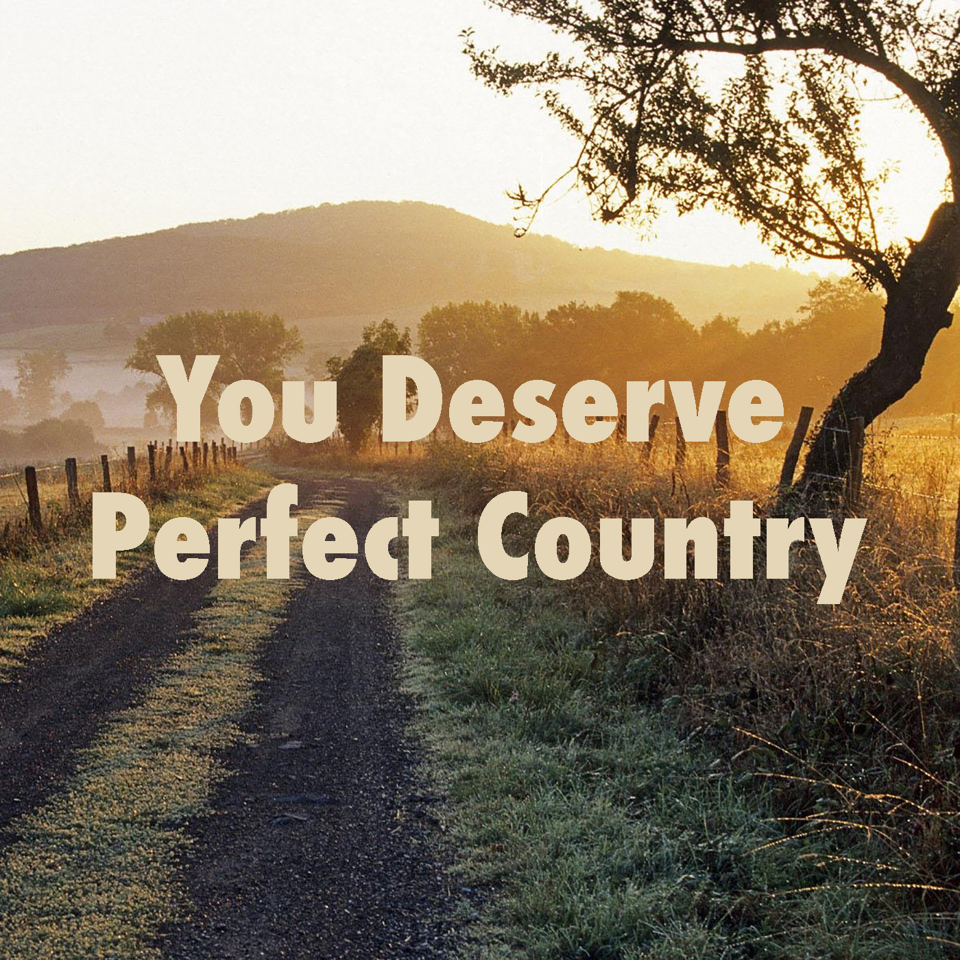 You Deserve Perfect Country