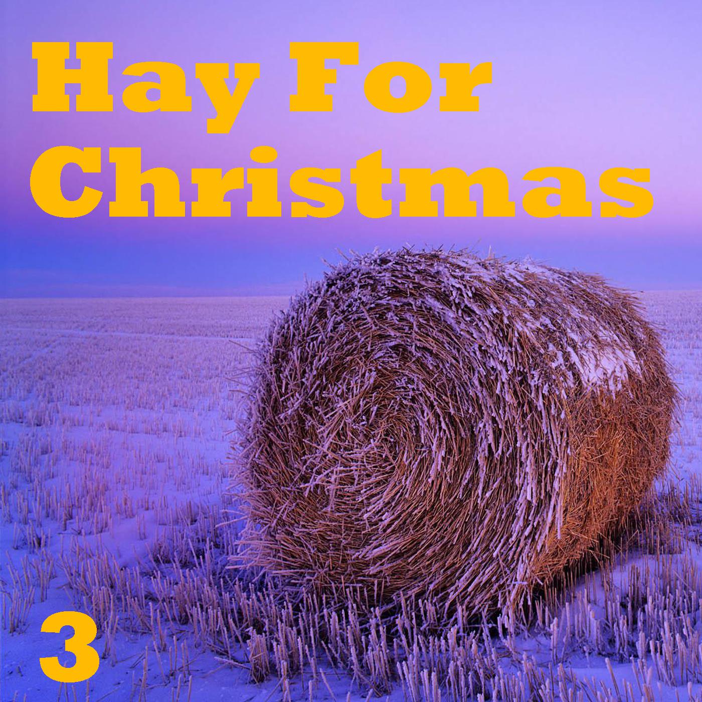 Hay For Christmas, Vol. 3