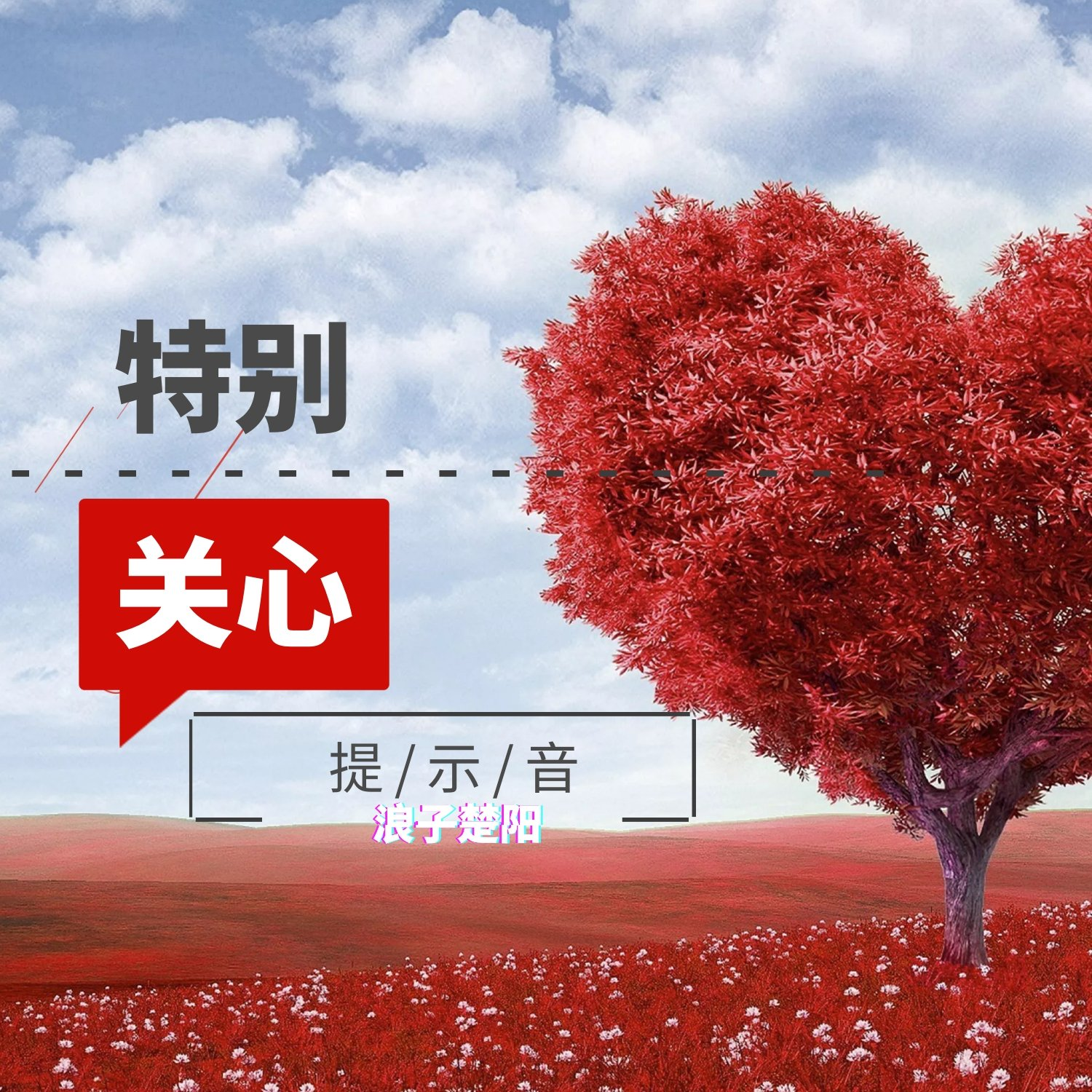 te bie guan xin ti shi yin