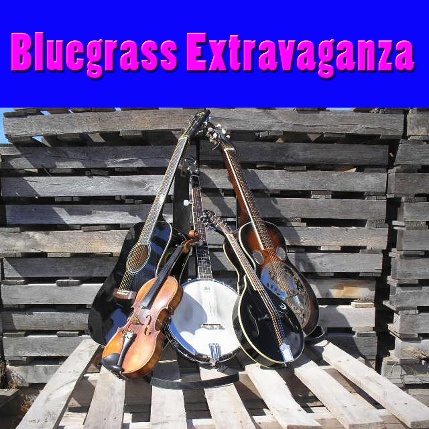 Bluegrass Extravaganza