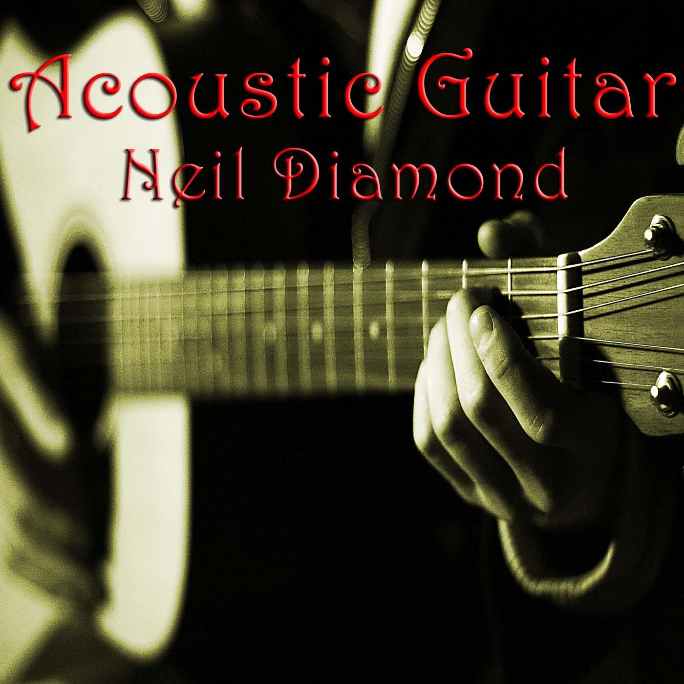 Acoustic Guitar Neil Diamond