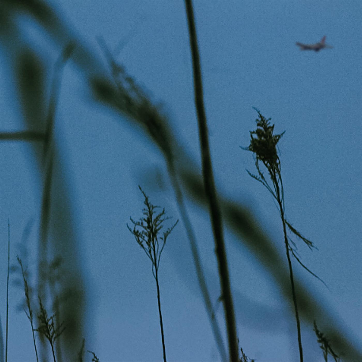 I Will Wait No Matter What