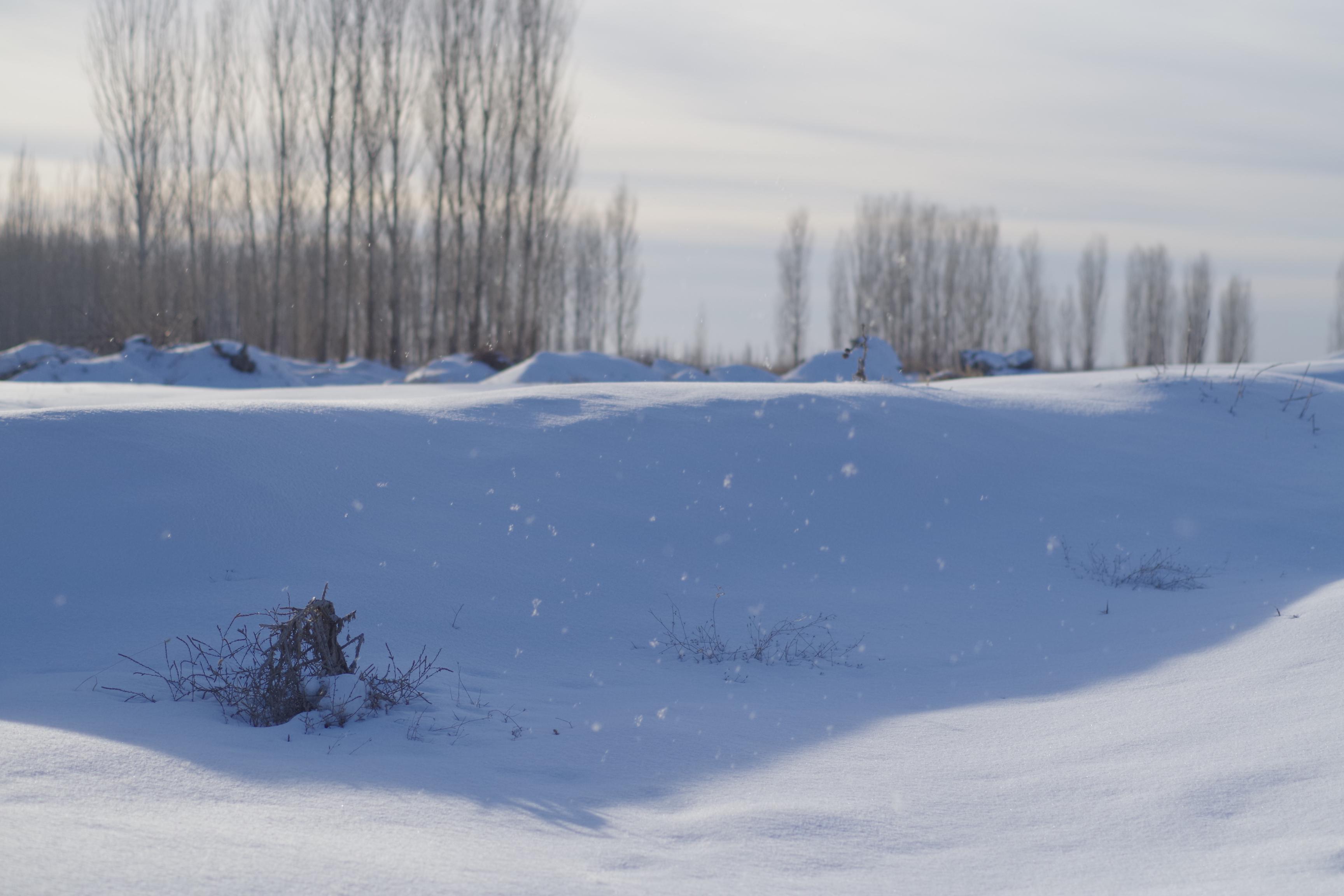 yi li he bian de bai yang bian qu ban