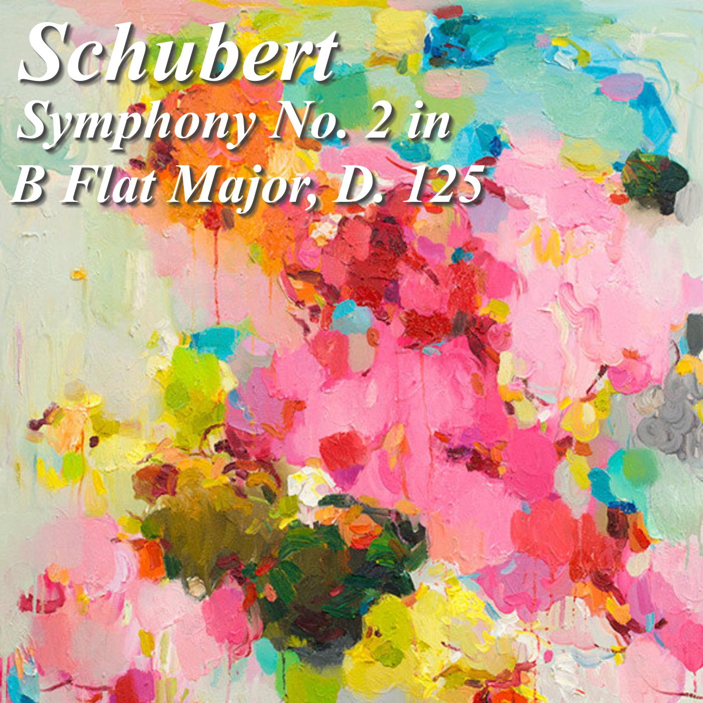Symphony No. 2 in B Flat Major, D. 125: II