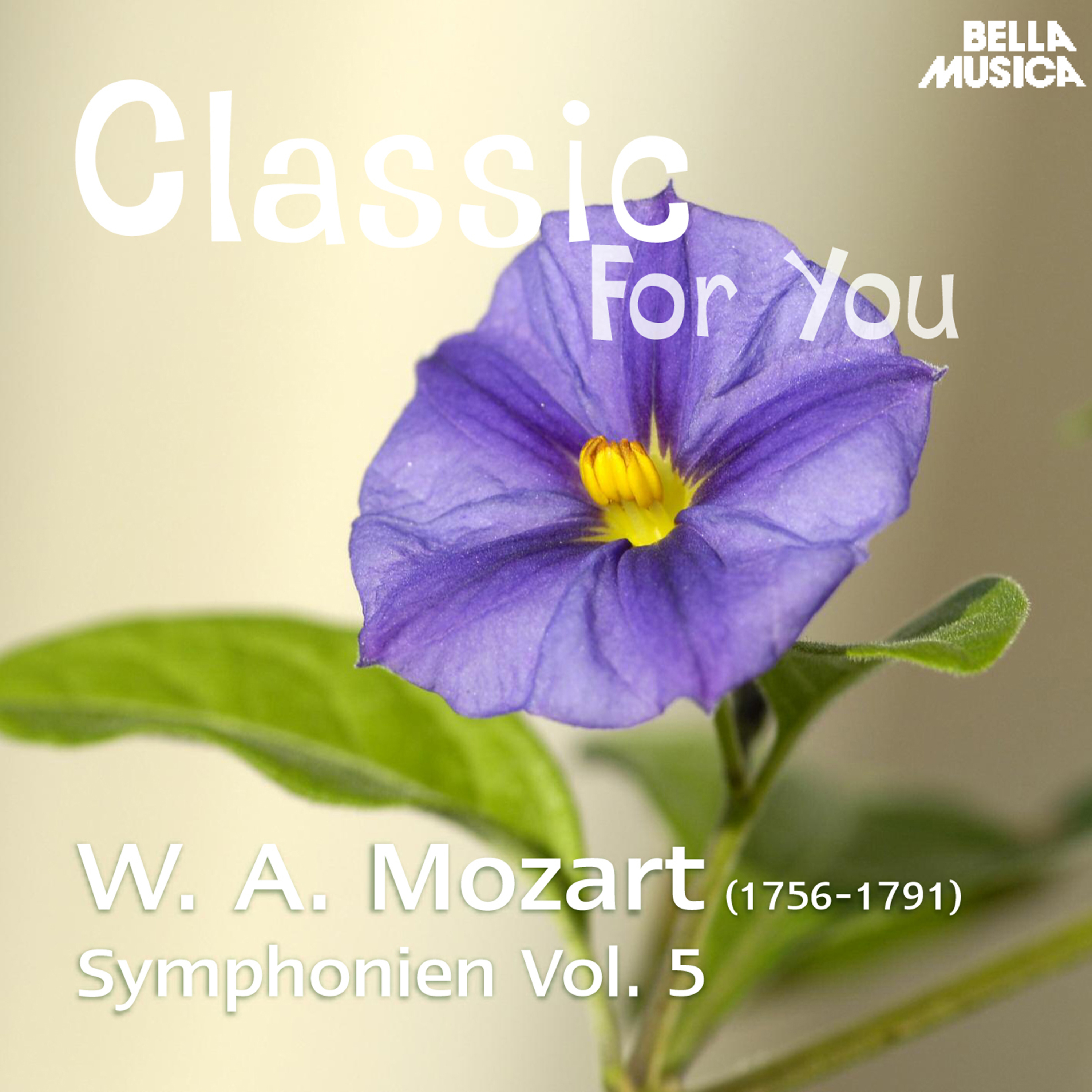 Symphonie in D Major, K. 181, No. 23: III. Presto assai
