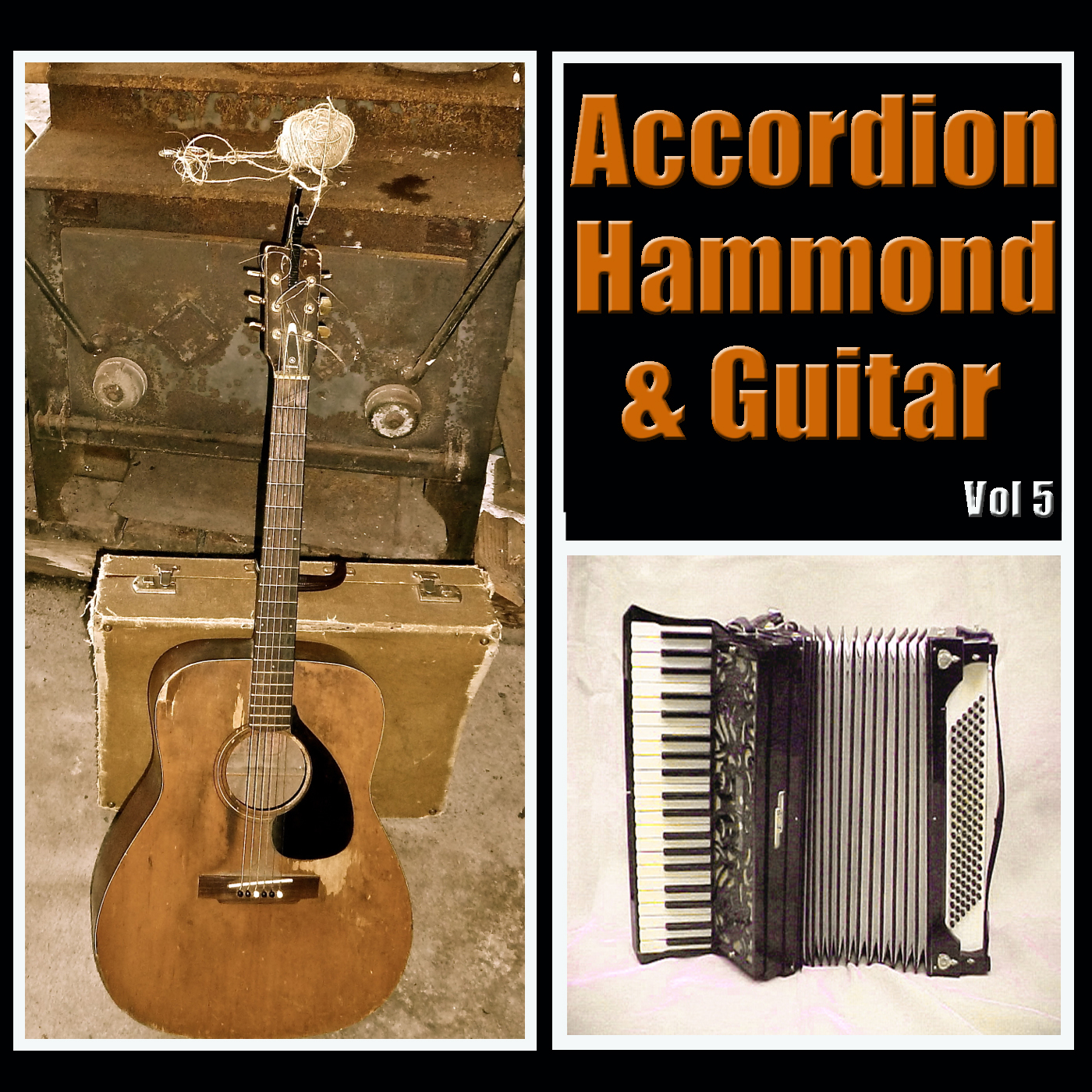 Accordion, Hammond & Guitar Vol 5