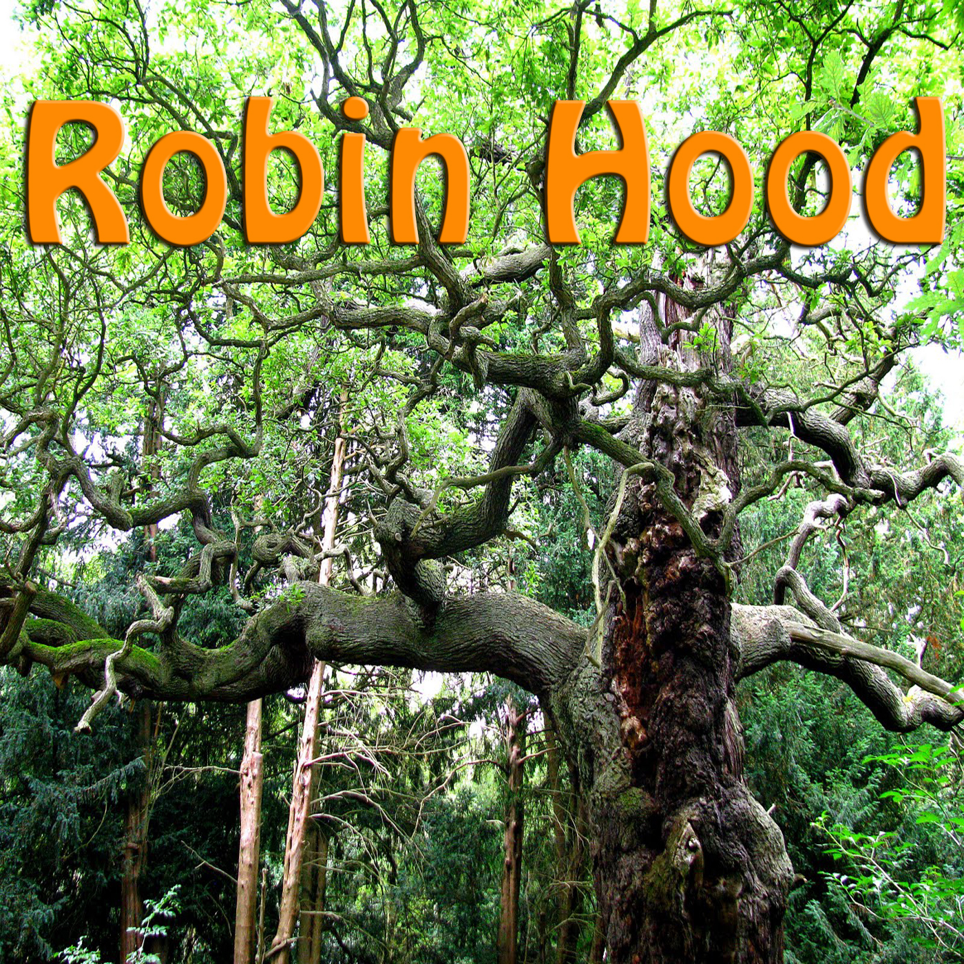 Magical Pan Pipe Hits Vol. 2