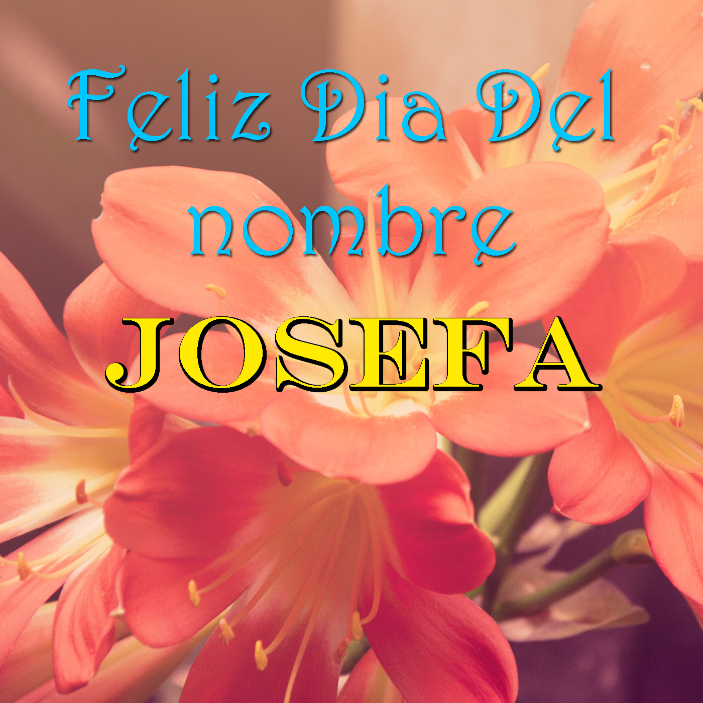 Feliz Dia Del nombre Josefa