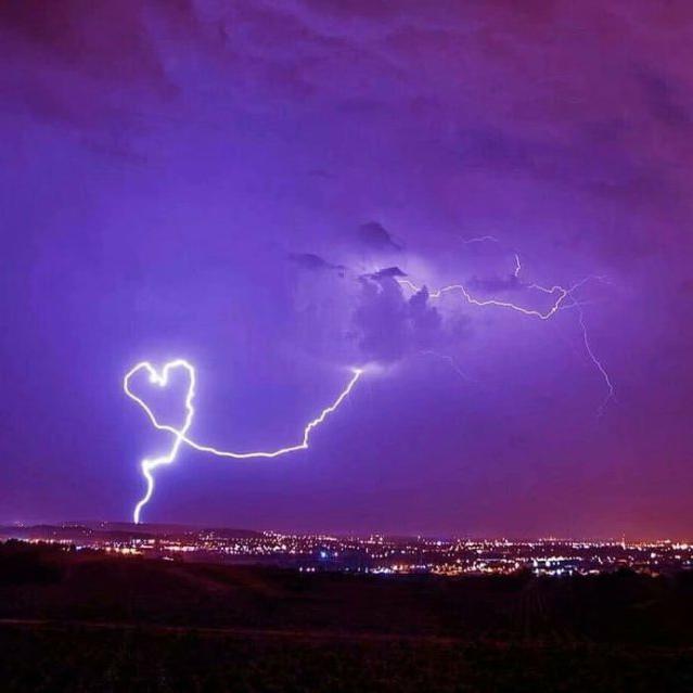 lin jia duan fa nv hai