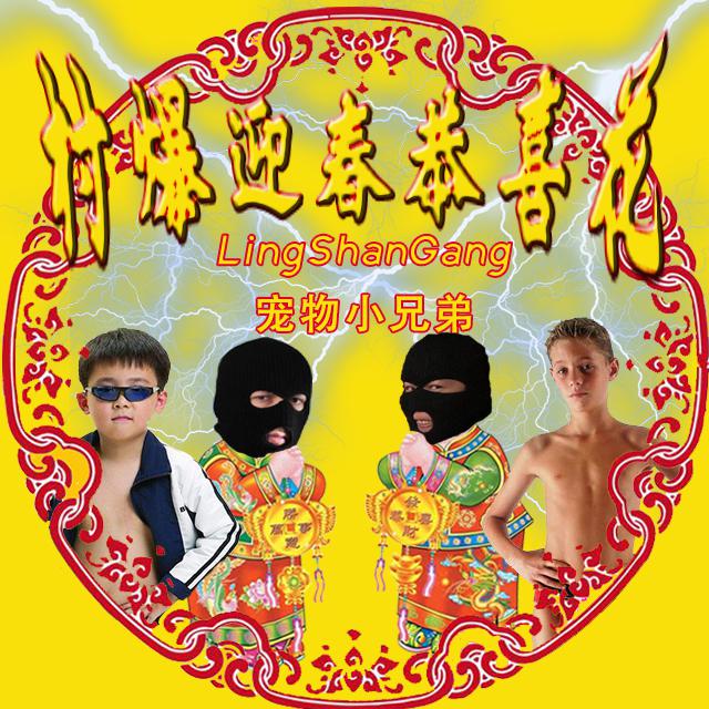 cun bao ying chun gong xi hua