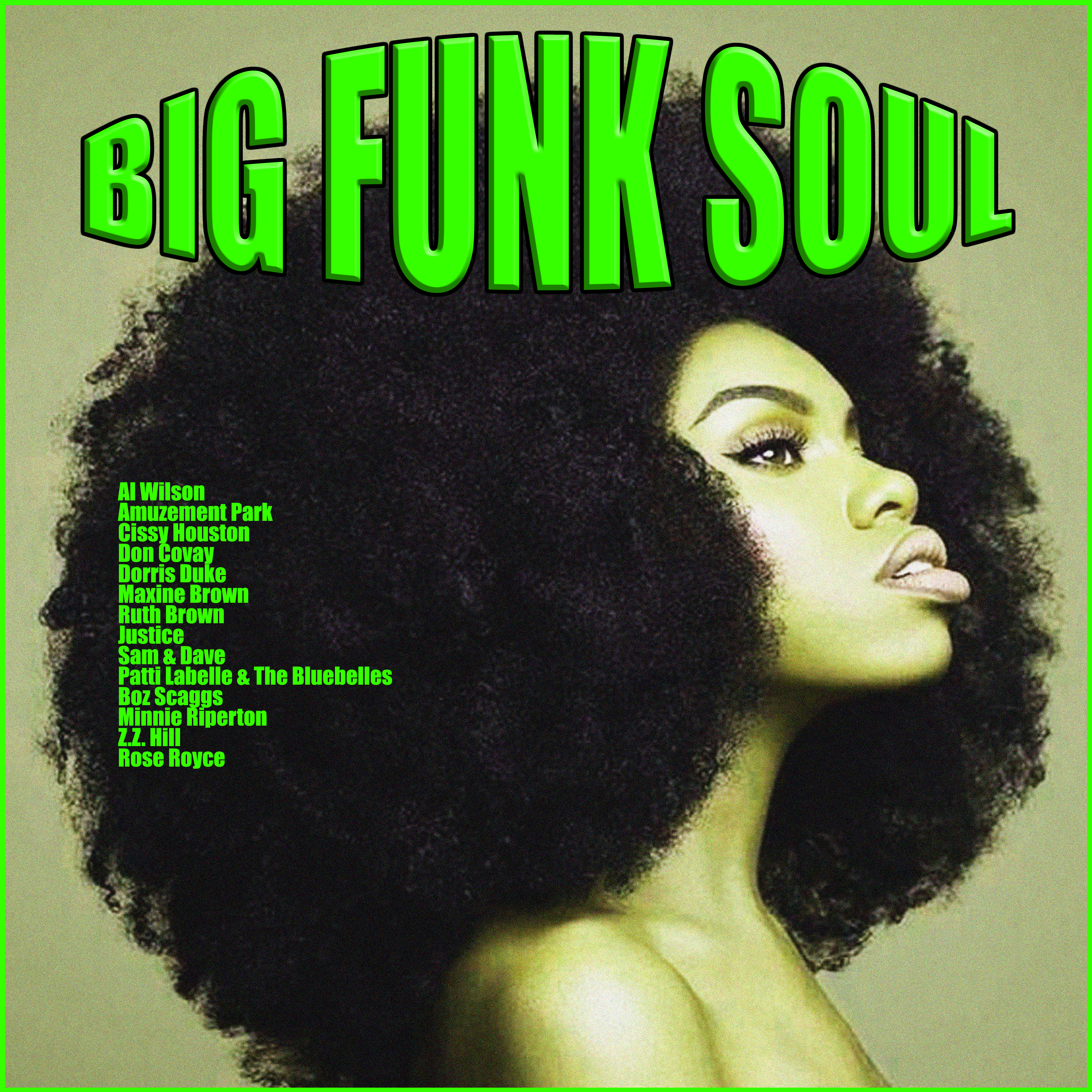Big Funk Soul