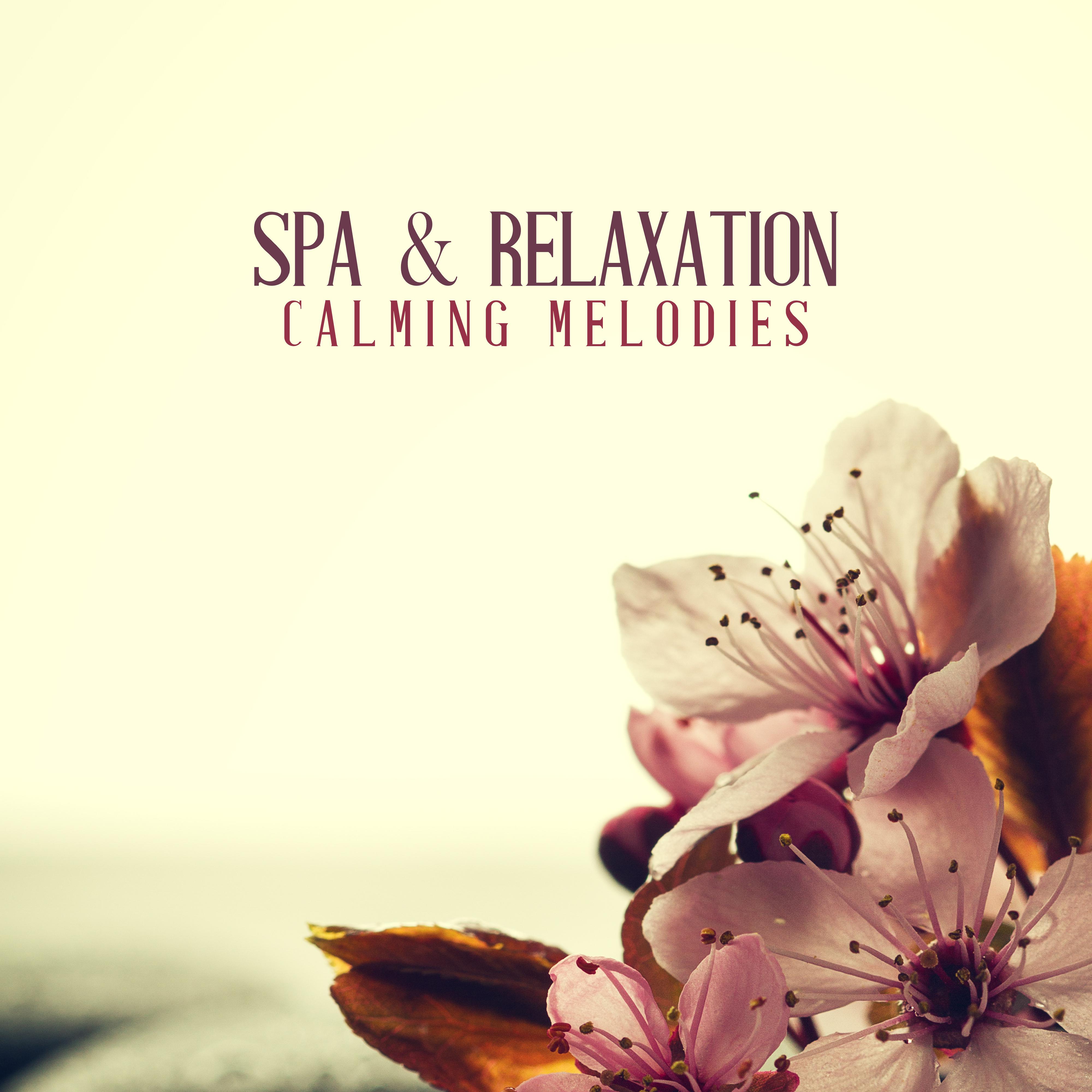 Spa  Relaxation Calming Melodies  New Age Therapy Music Compilation