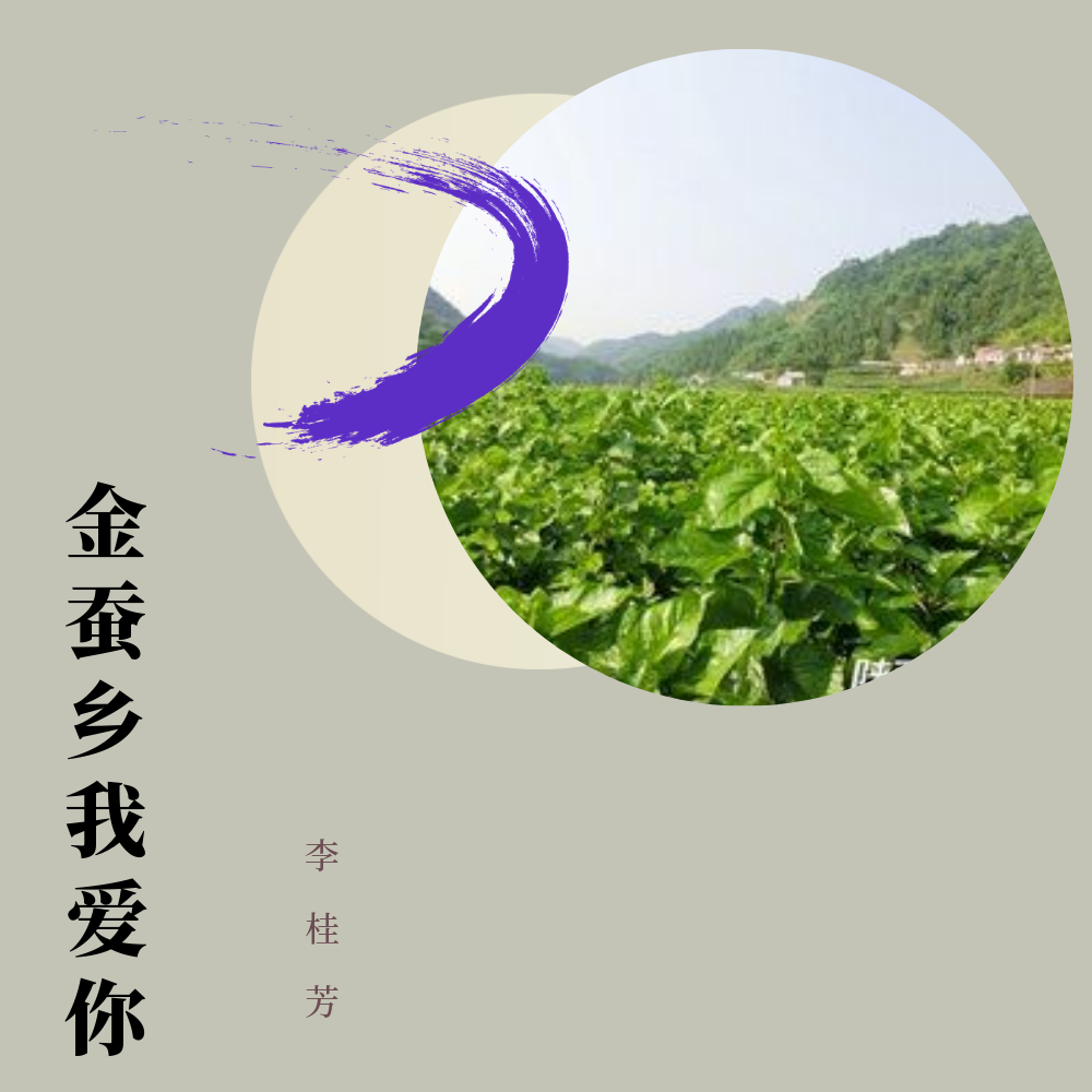 jin can xiang wo ai ni