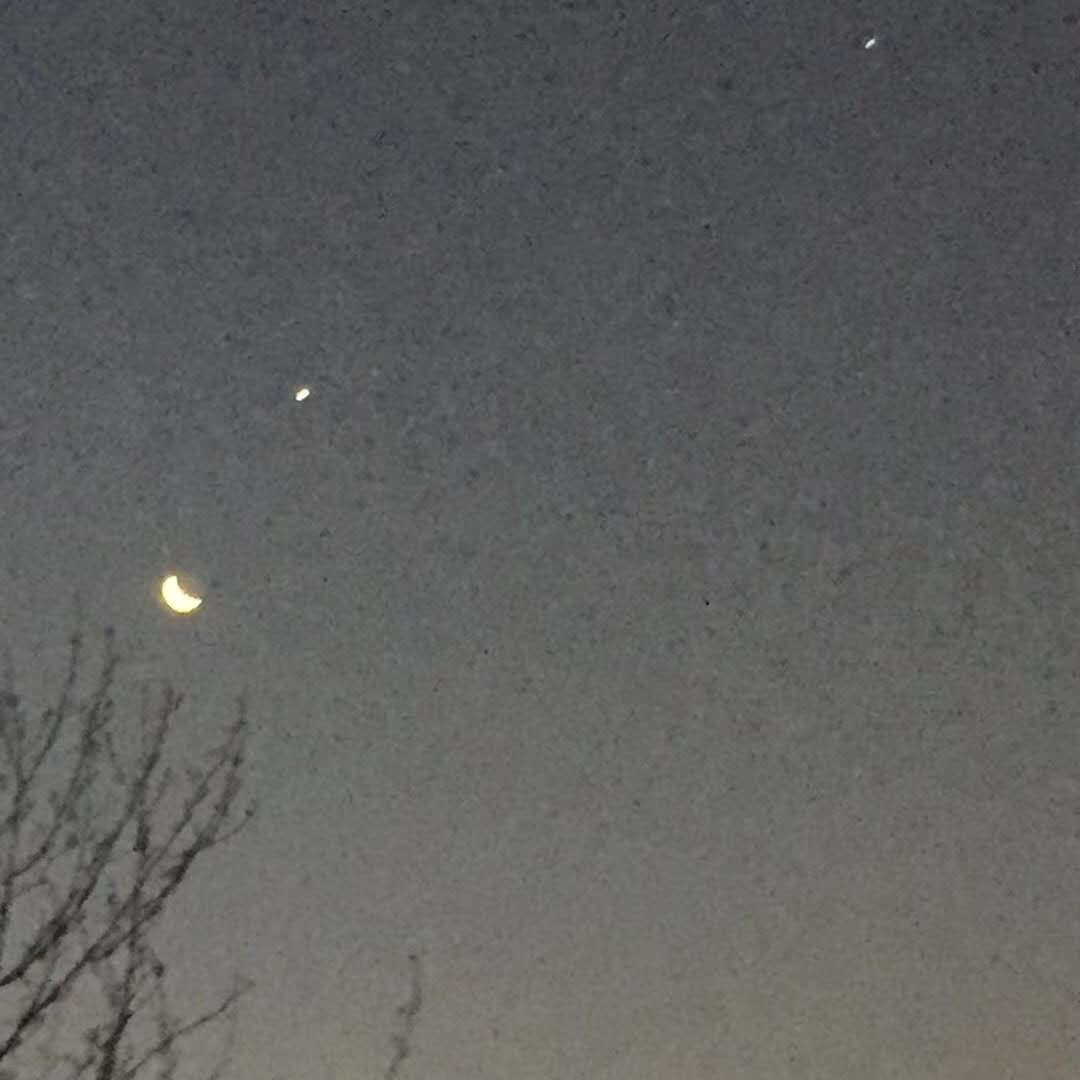 Life Is the Cookie - koolyshiya