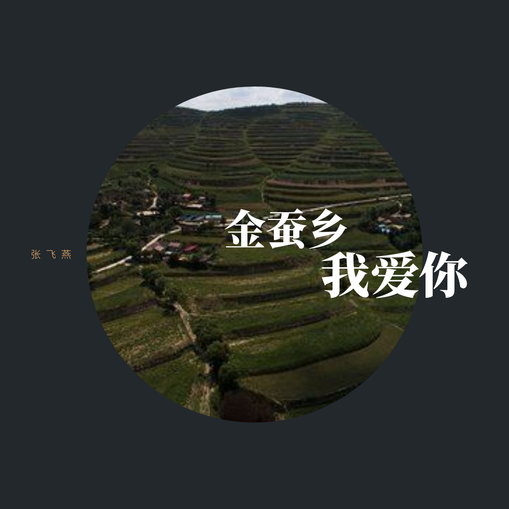 jin can xiang wo ai ni