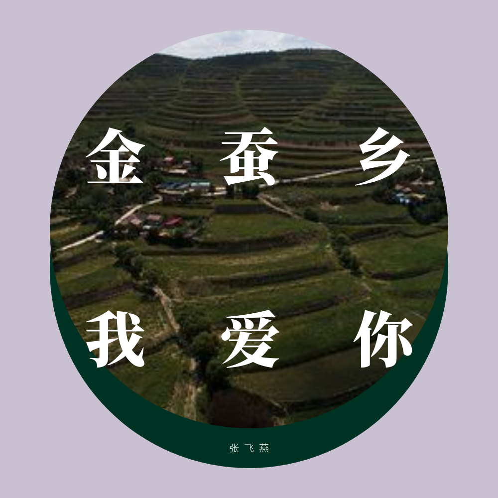 jin can xiang wo ai ni