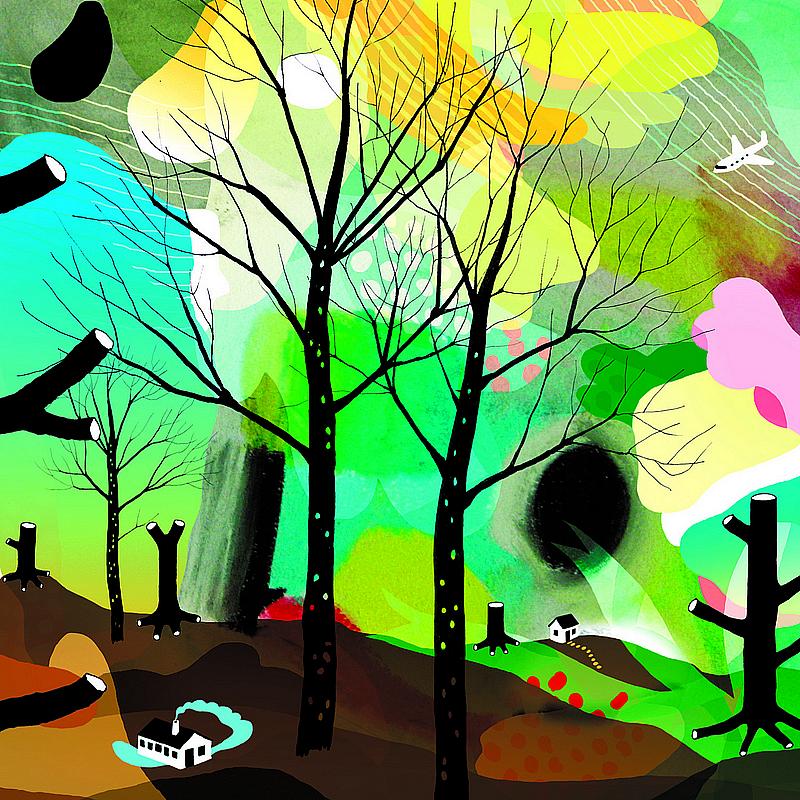 Towards The Bare Hill