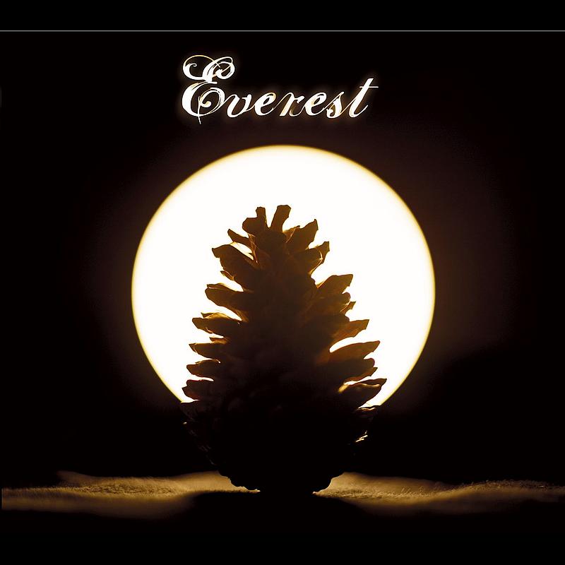 Into Your Soft Heart (Album Version)