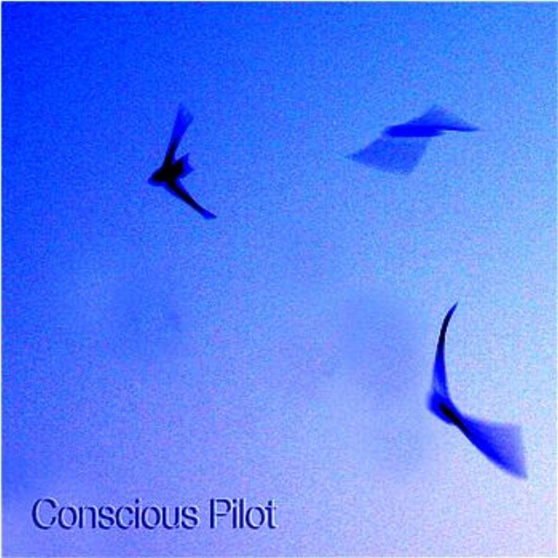 Conscious Pilot