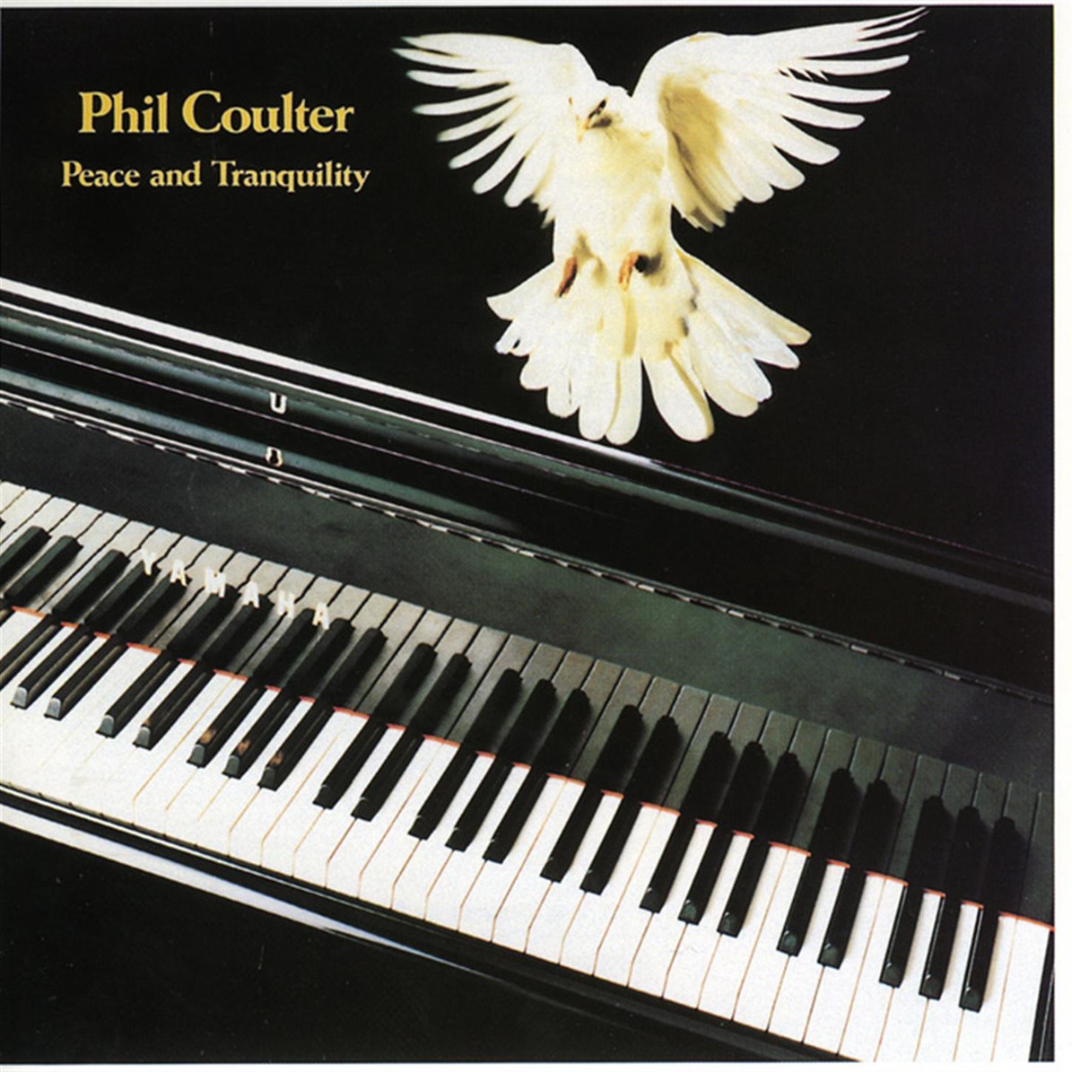 If I Were A Blackbird