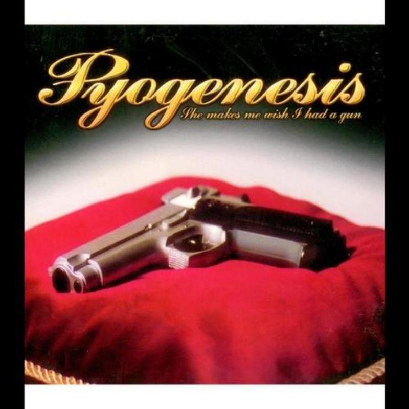 She Makes Me Wish I Had A Gun