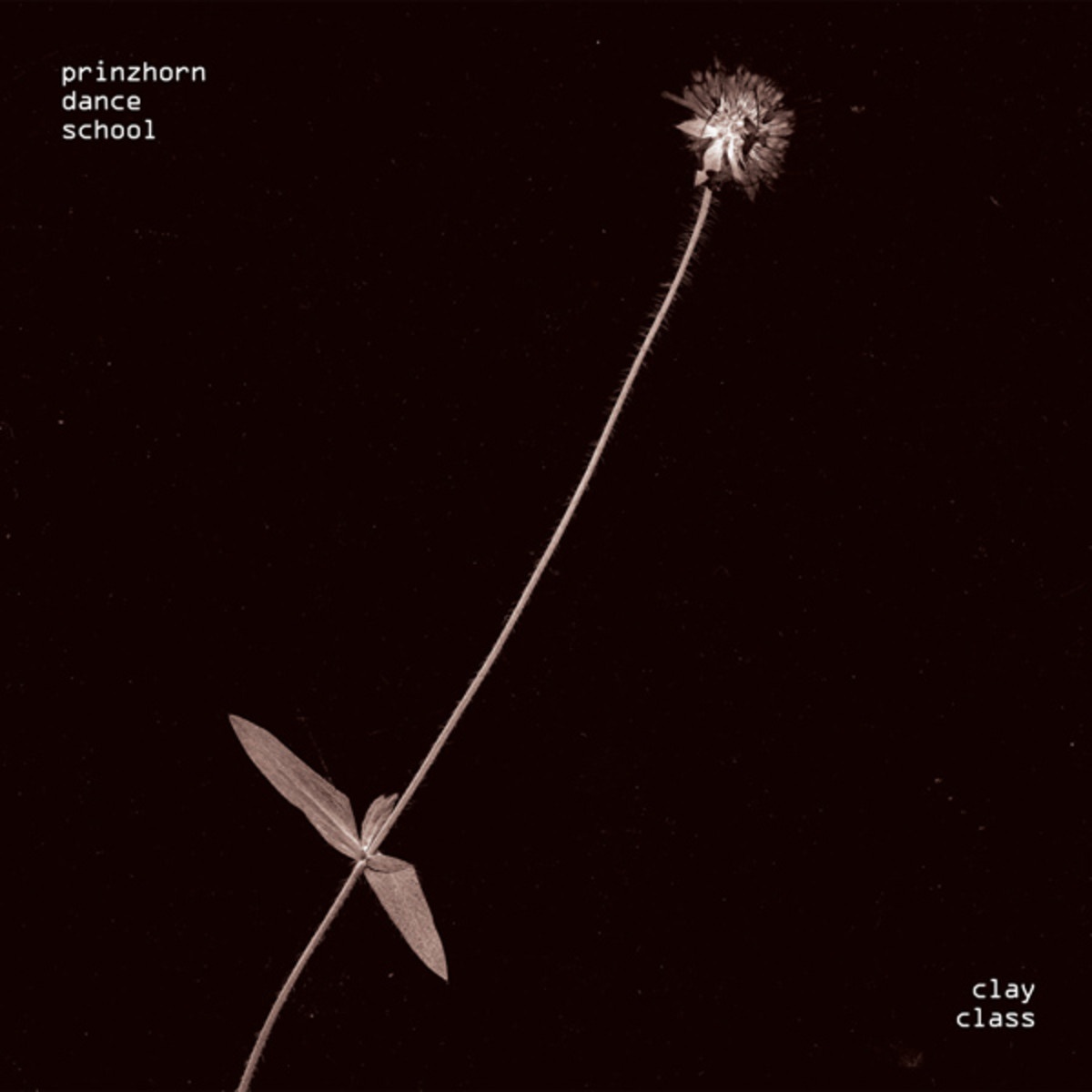 Right Night Kay West