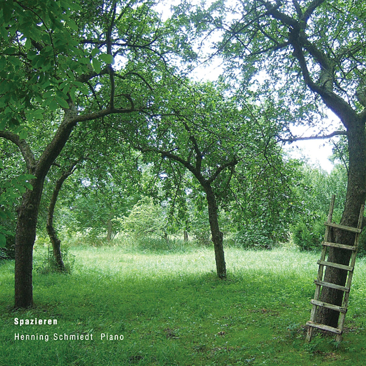 Der Regen hat aufgeh rt