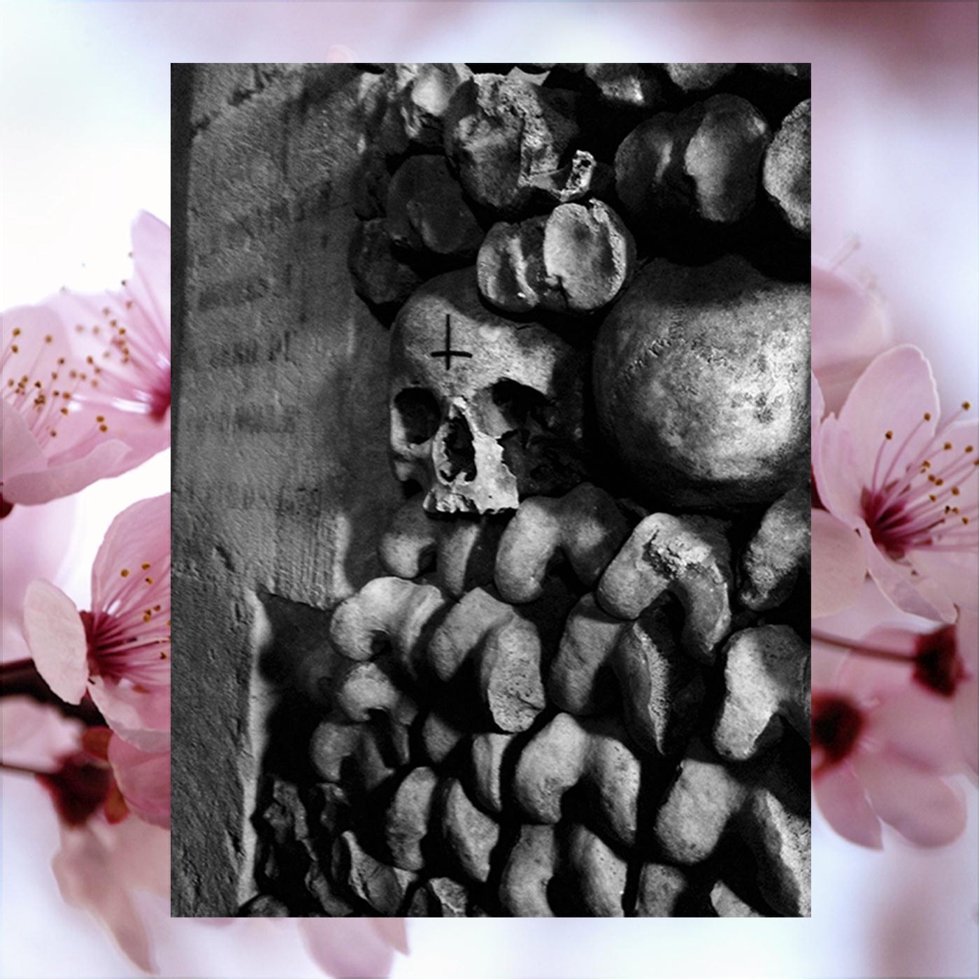 Let's Talk About Jupiter