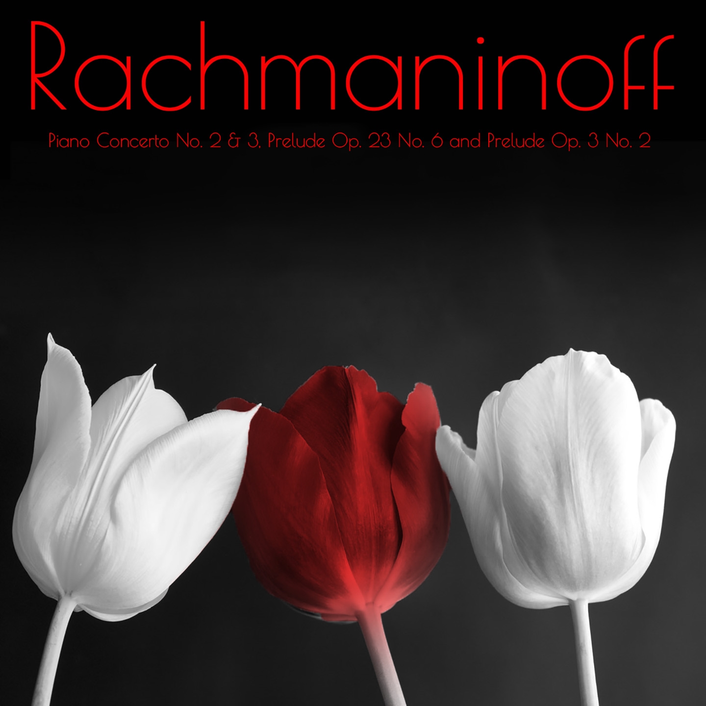 Rachmaninoff Piano Concerto No. 2 & 3, Prelude Op. 23 No. 6 and Prelude Op. 3 No. 2